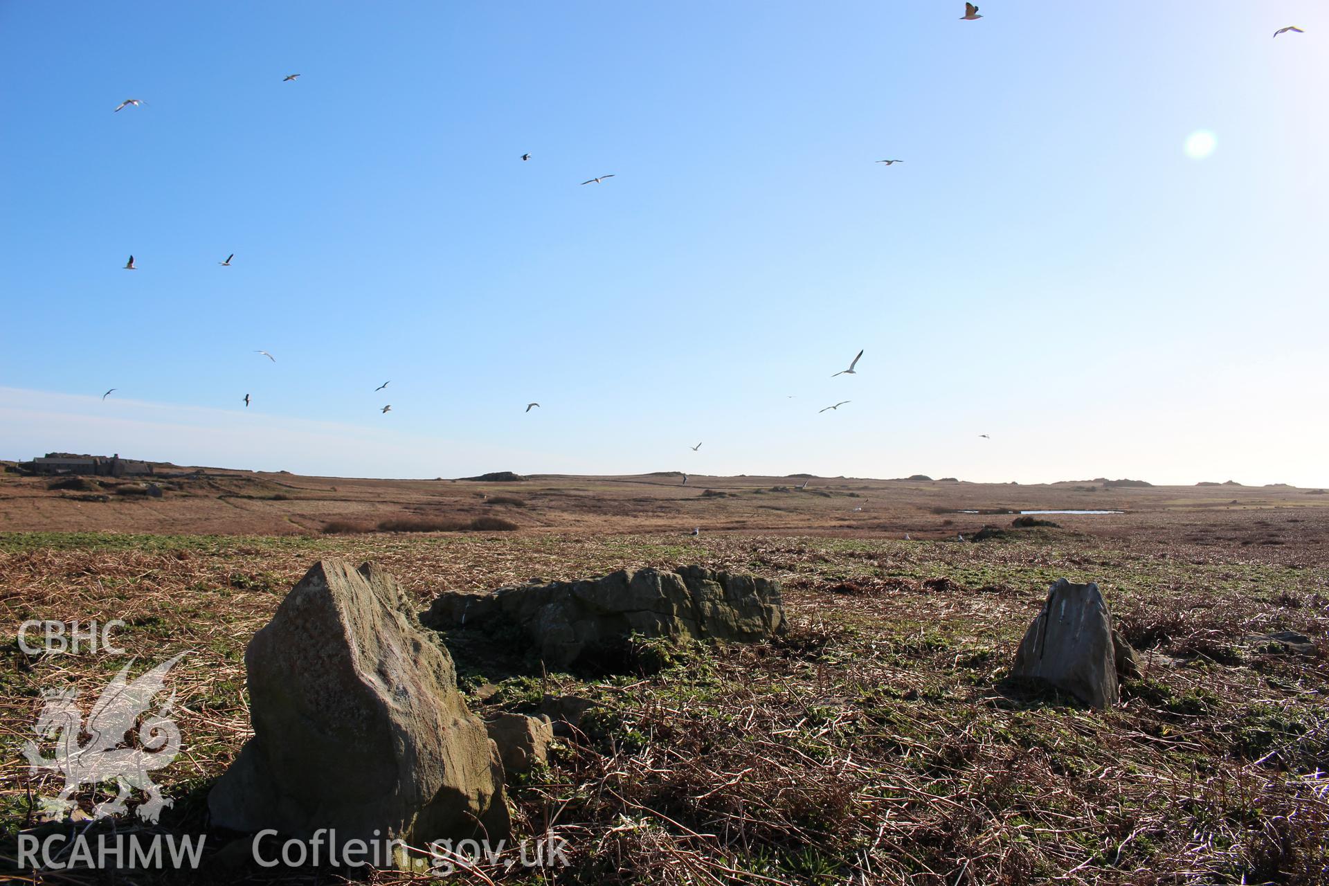 SUB-MEGALITHIC SITE NEAR TO NORTH STREAM, SKOMER ISLAND, view from north-west