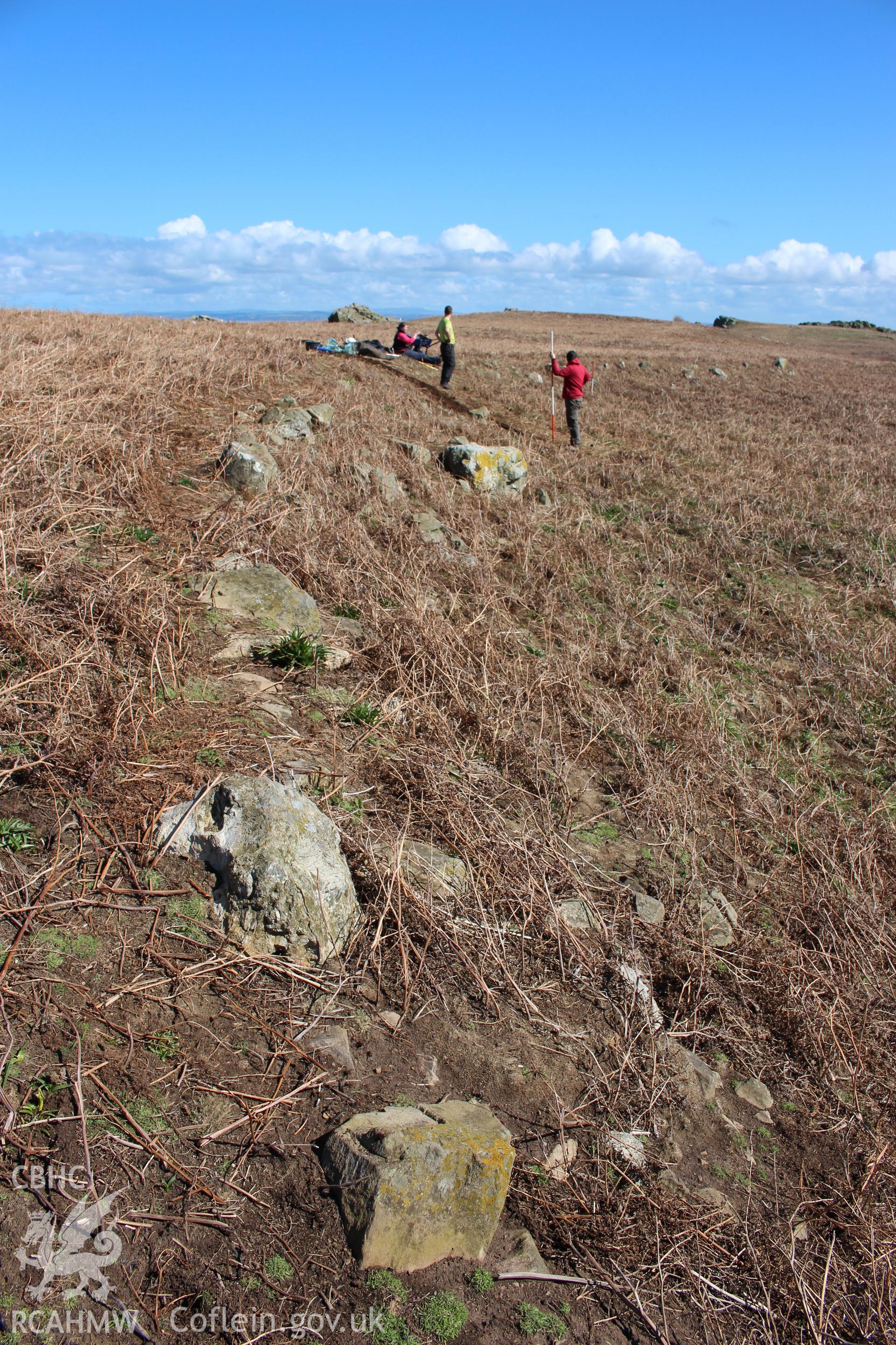 Skomer Island, excavation of a prehistoric lynchet associated with the North Stream Settlement 2016, view along lynchet looking east