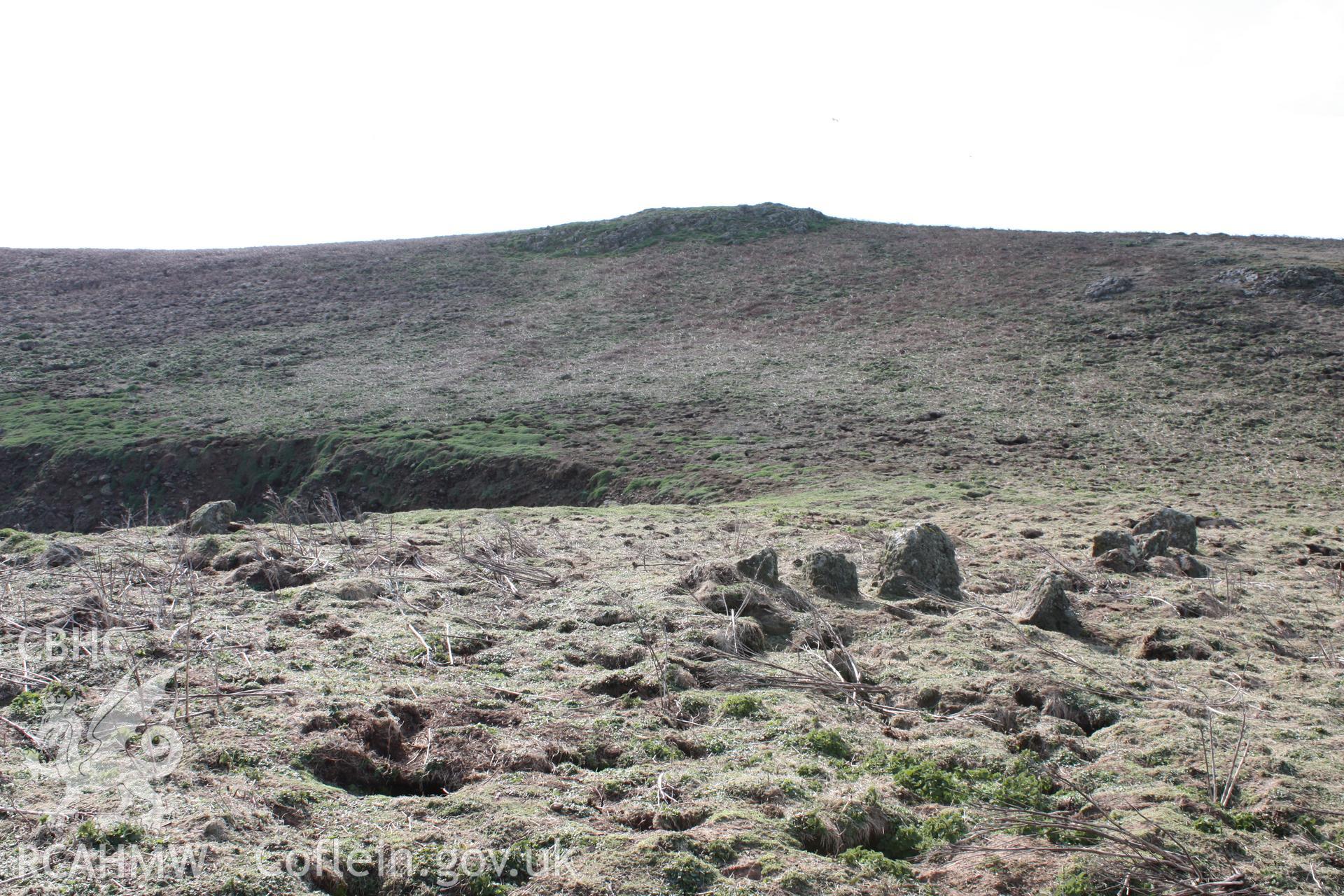 THE CHURCHYARD, SKOMER ISLAND, view of western part looking west