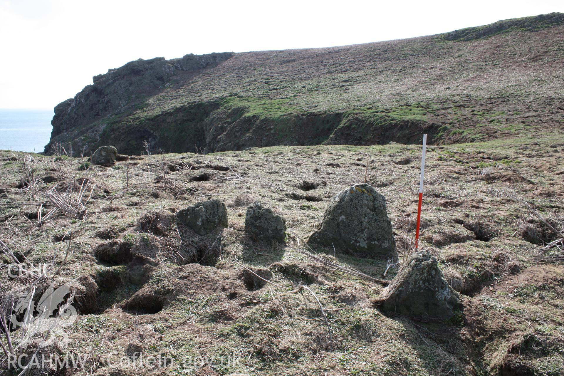 THE CHURCHYARD, SKOMER ISLAND, view of western part looking west, 1m scale