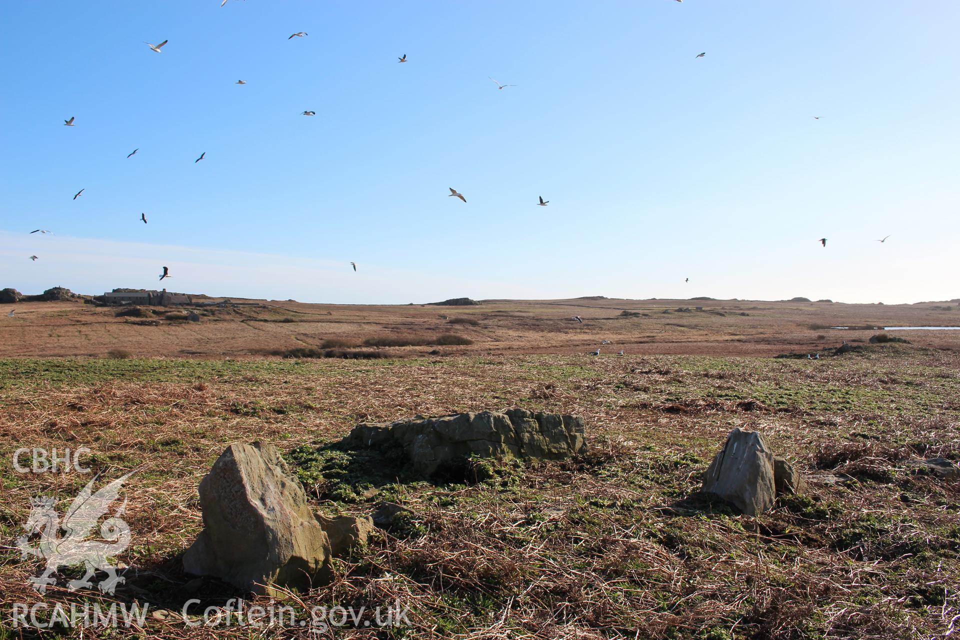 SUB-MEGALITHIC SITE NEAR TO NORTH STREAM, SKOMER ISLAND, view from north