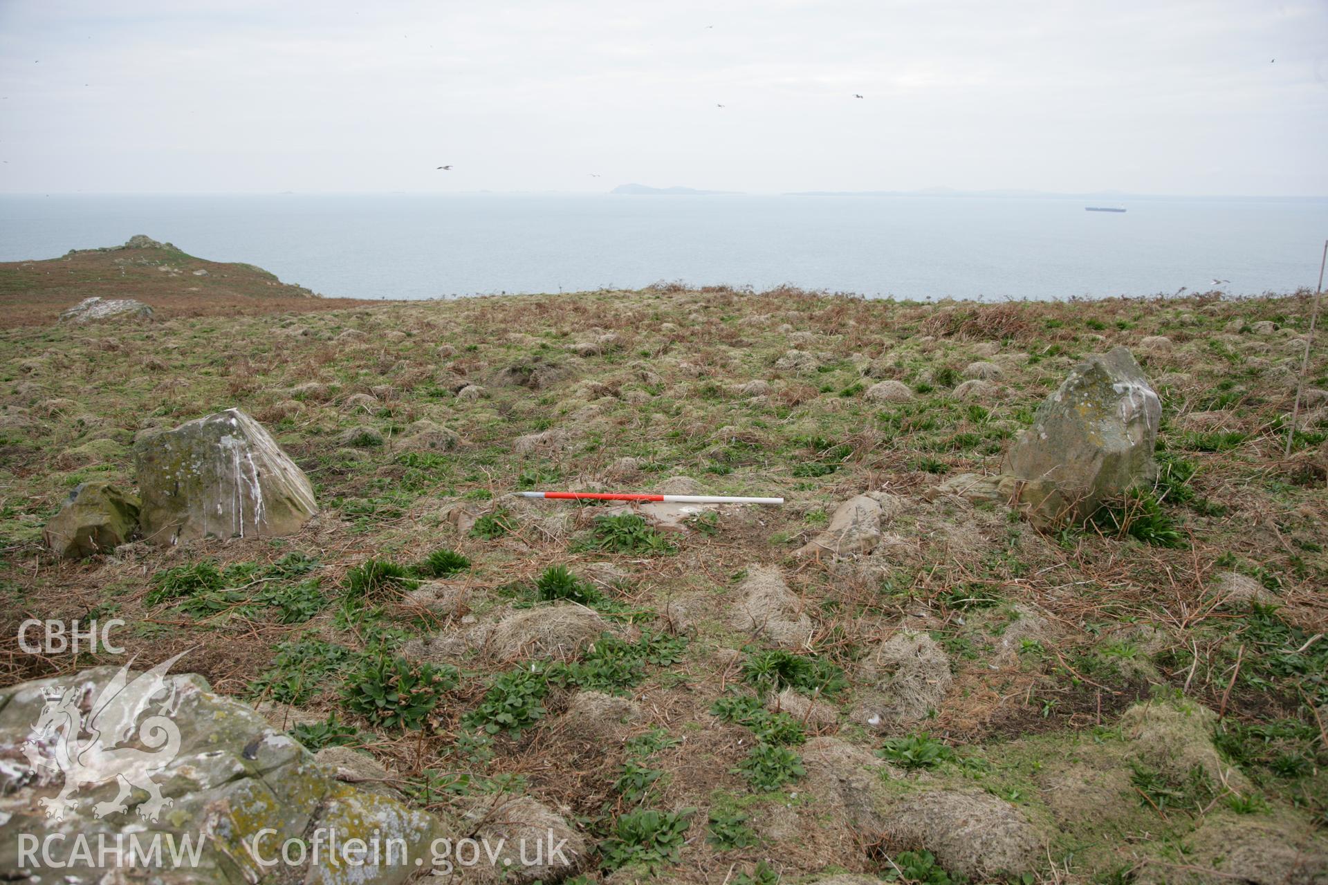 SUB-MEGALITHIC SITE NEAR TO NORTH STREAM, SKOMER ISLAND, view of stone pair from south with 1m scale