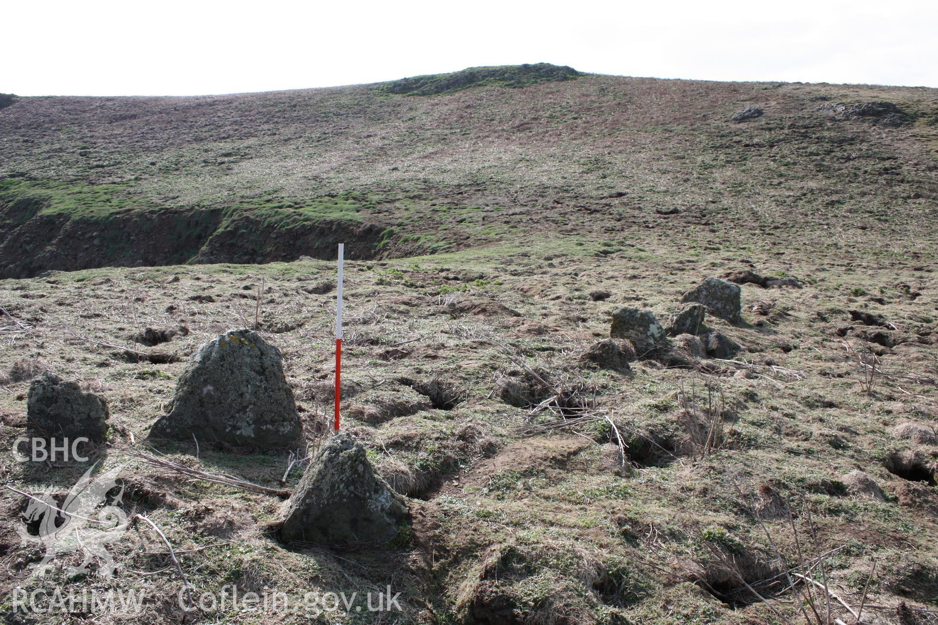 THE CHURCHYARD, SKOMER ISLAND, view of western part looking west, 1m scale