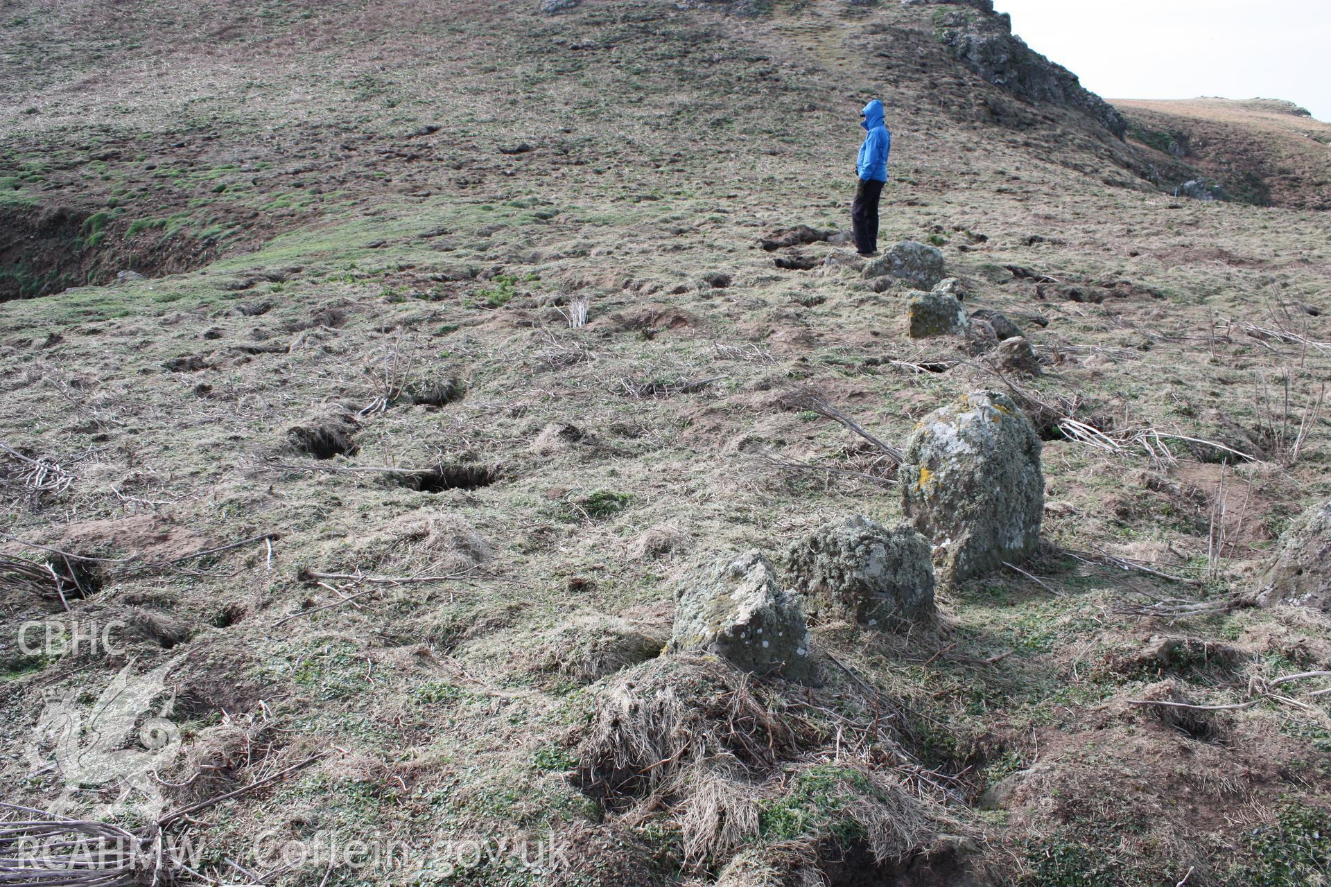 THE CHURCHYARD, SKOMER ISLAND, view of northern arc looking west