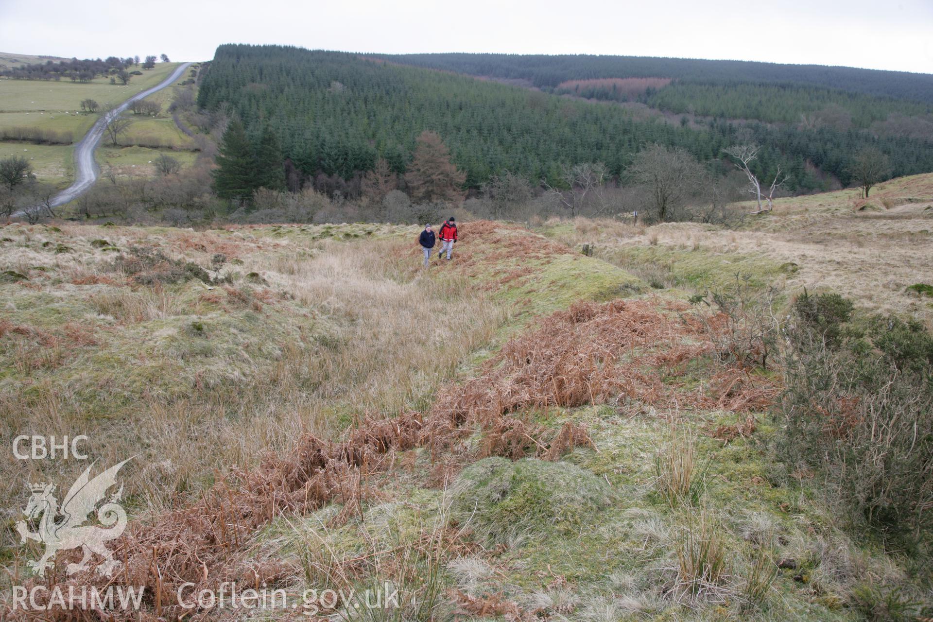 Clawdd British, southern rampart looking east