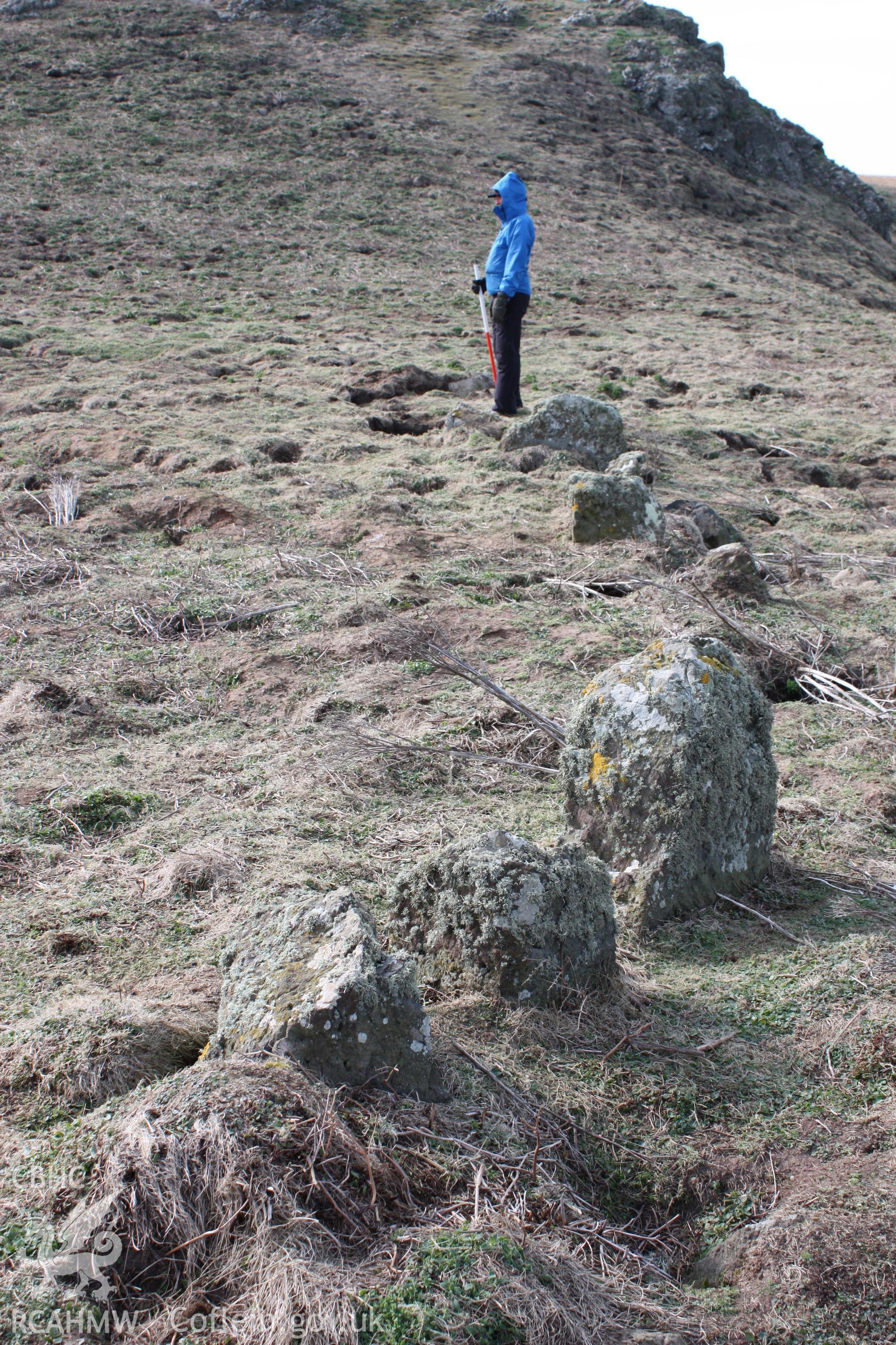 THE CHURCHYARD, SKOMER ISLAND, view of northern arc looking west