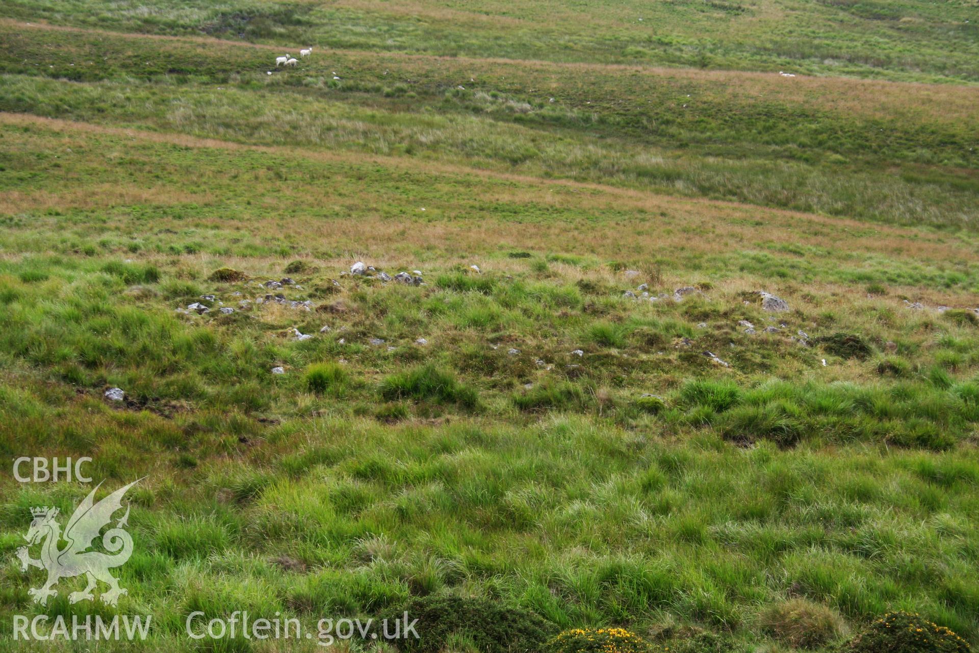 View of site from rising ground to the north-west, ring diameter about 12m.