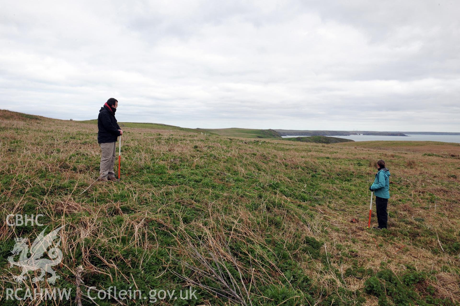 Skomer Island 2017. Pre-excavation view of trench with 1m scales, view looking east.