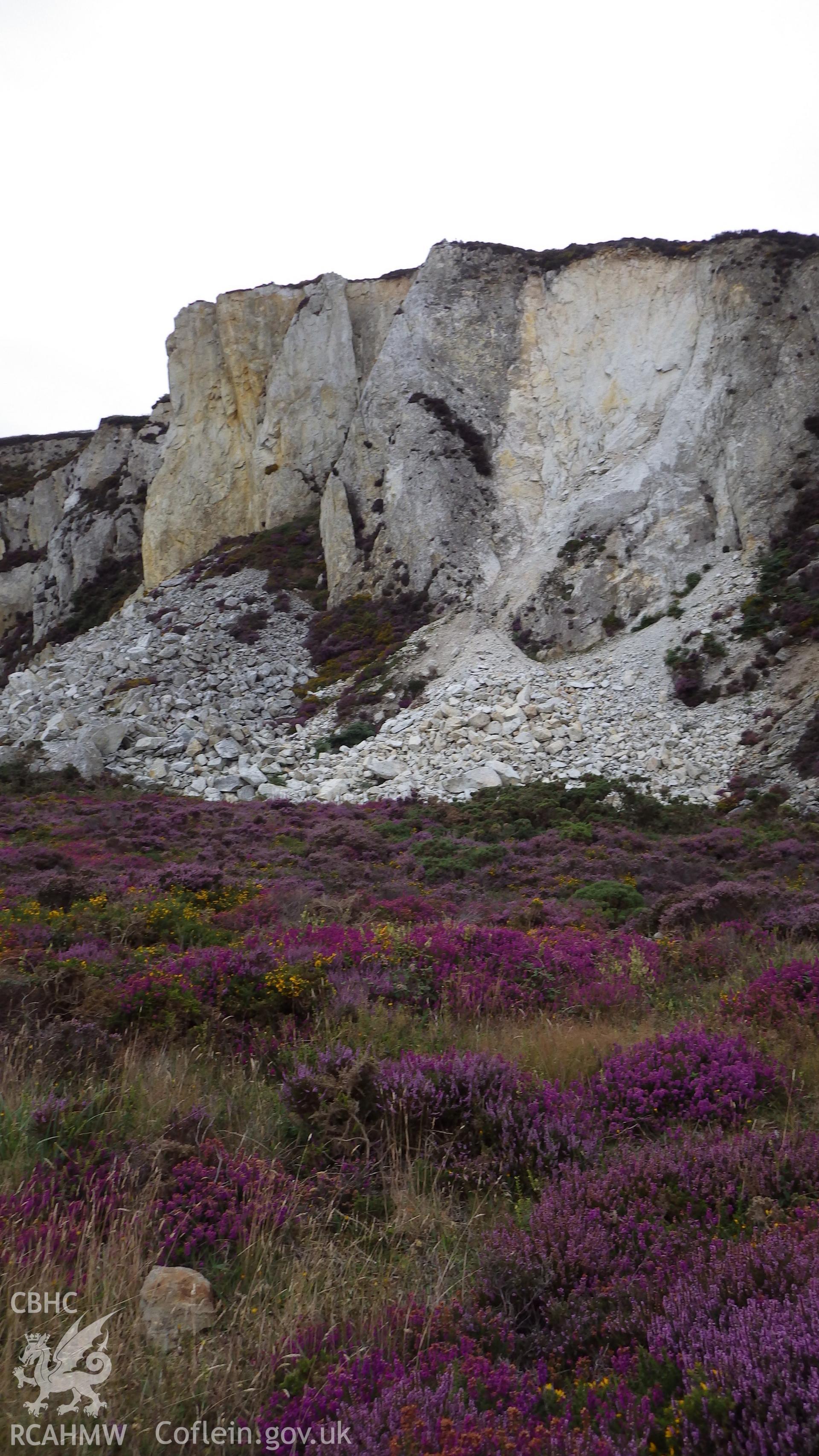 Quarry face with heather in bloom in foreground