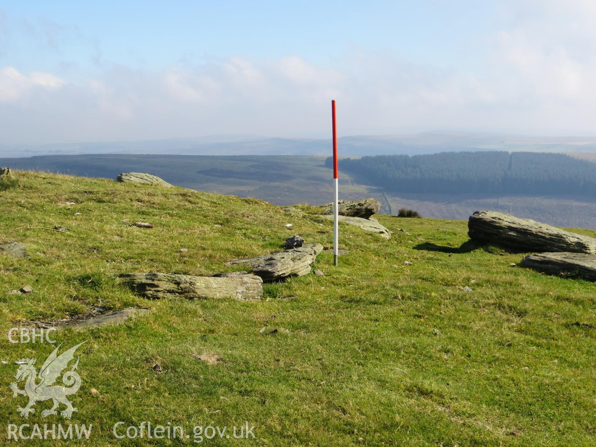 Kerb stones on the south-west; 1m scale.