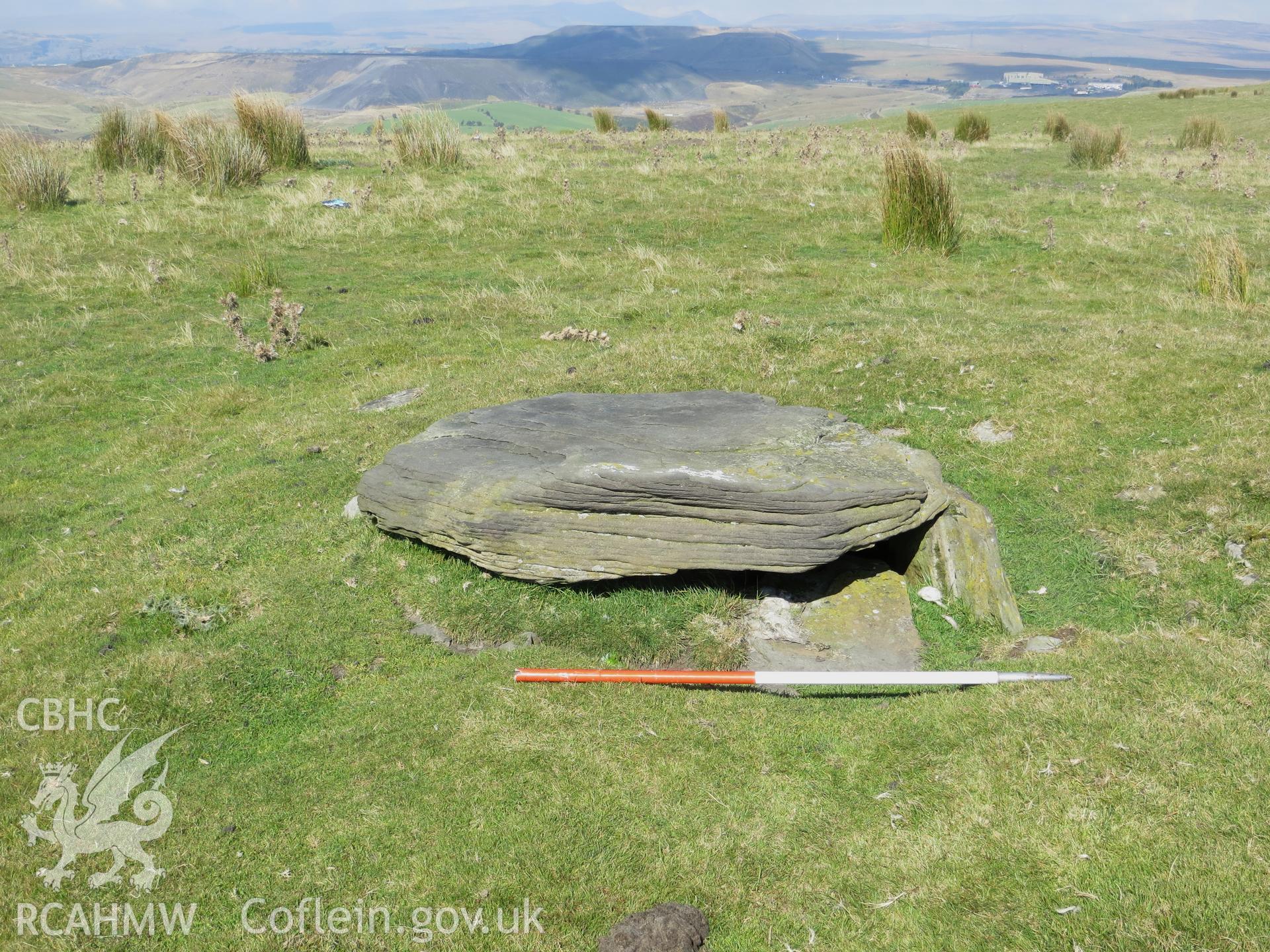 Close-up view of cist; 1m scale.