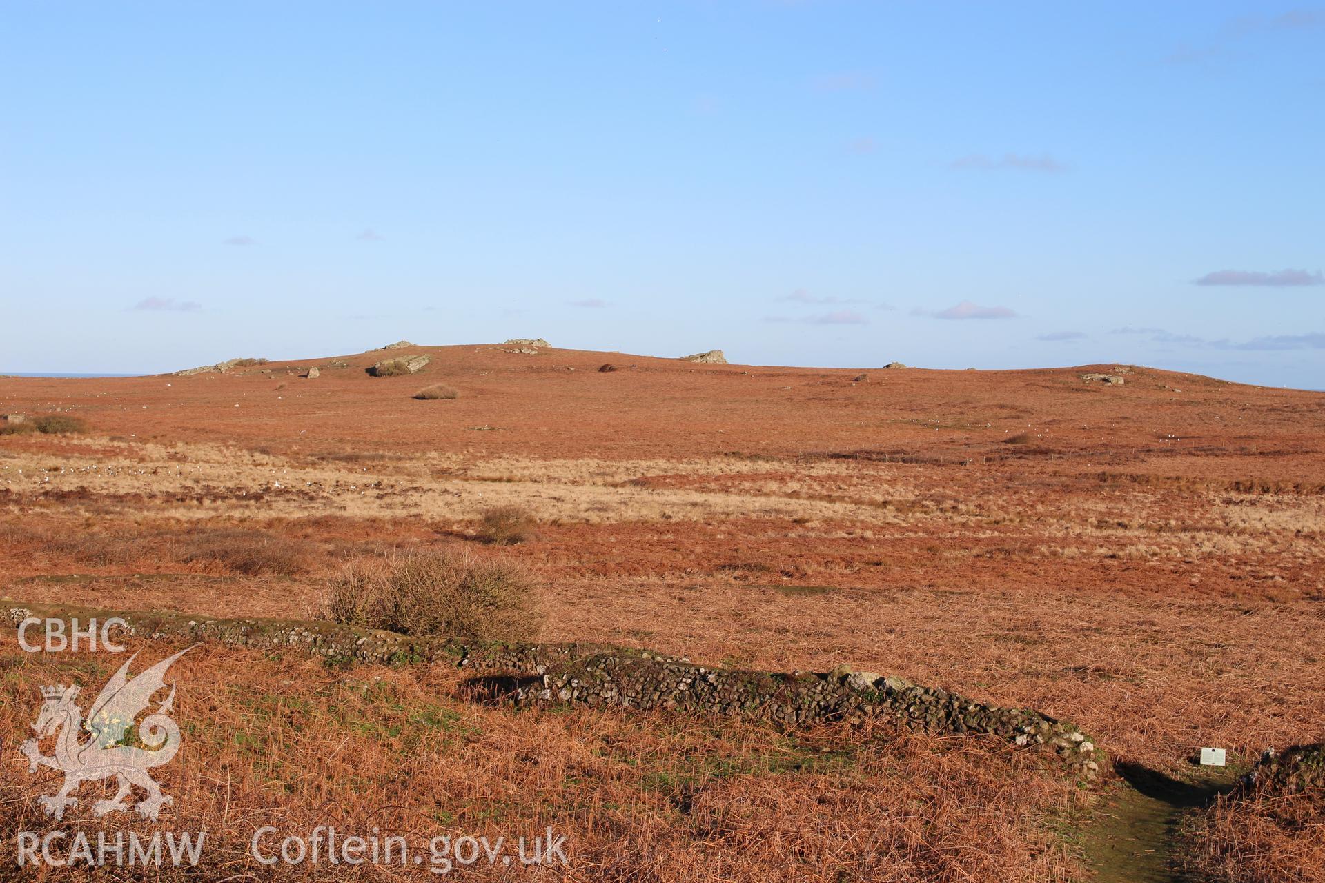 Skomer Island, excavation of a prehistoric lynchet associated with the North Stream Settlement 2016, distant view of trench from south near Old Farm