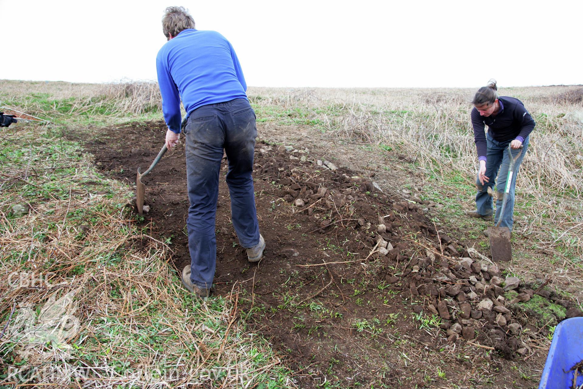 Skomer Island excavation of a burnt stone mound, Hut Group 8. Backfilling the trench, 5th April 2014