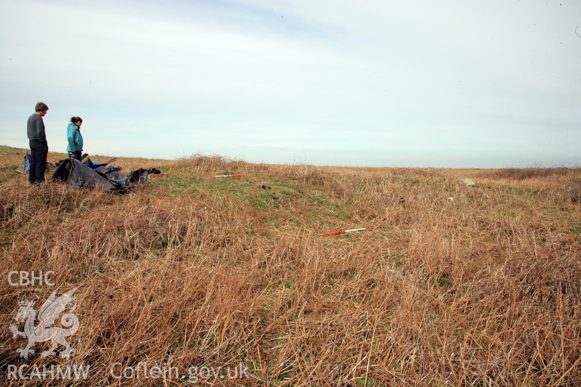 Skomer Island excavation of a burnt stone mound, Hut Group 8. General pre-excavation view from the south-west following clearance of bracken