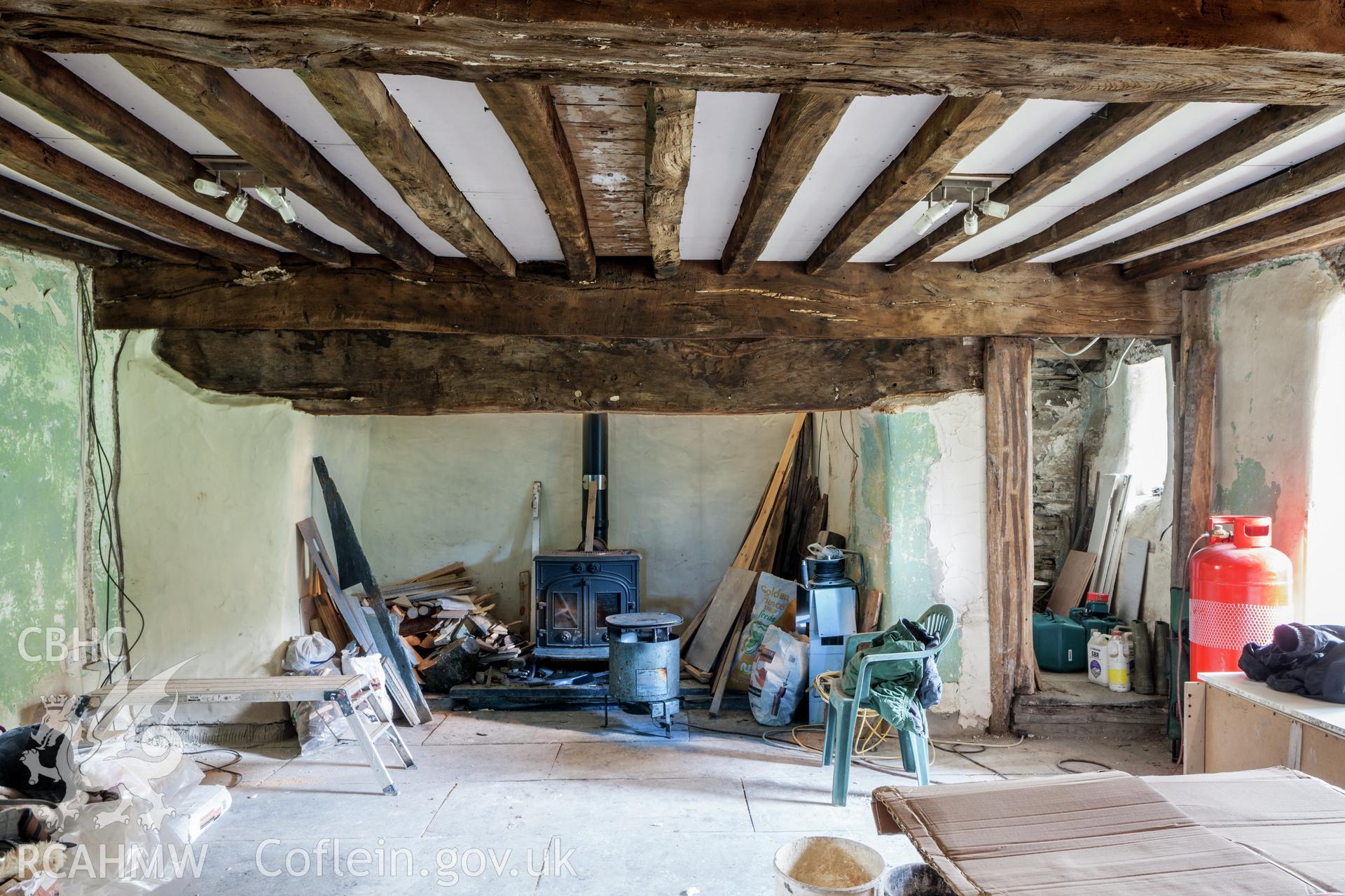 Parlour fireplace and ceiling