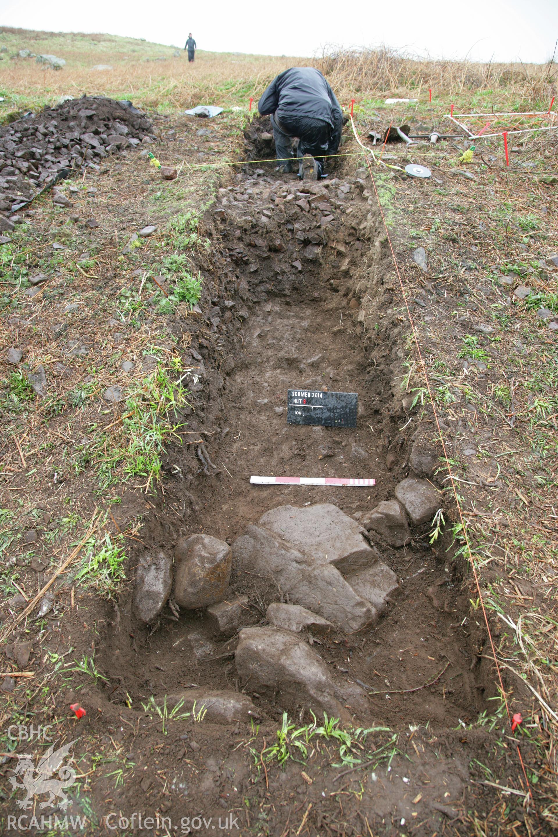 Skomer Island excavation of a burnt stone mound, Hut Group 8. Trench from the south showing remains of outer revetment stones at southerly extent of burnt mound