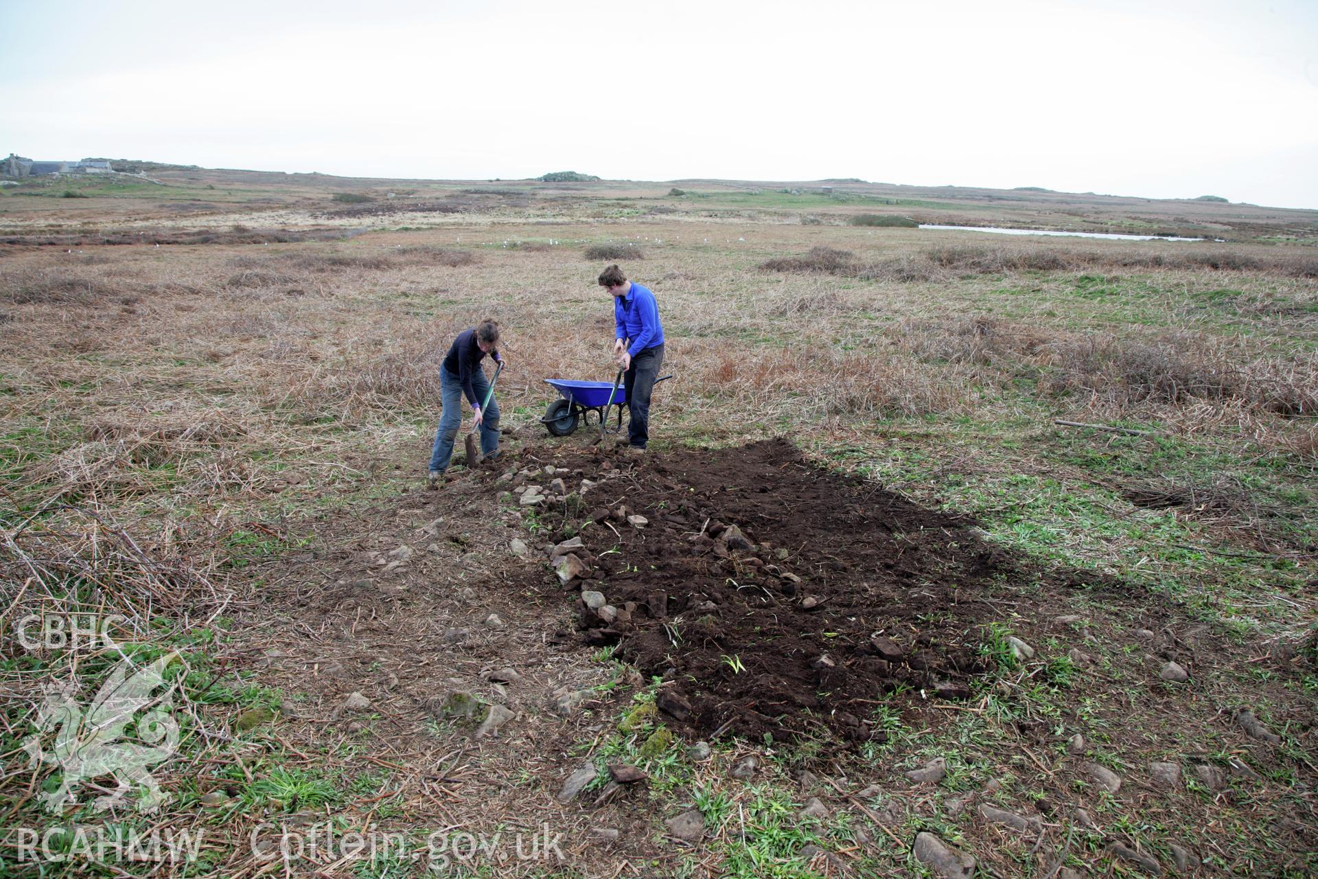 Skomer Island excavation of a burnt stone mound, Hut Group 8. Backfilling the trench, 5th April 2014