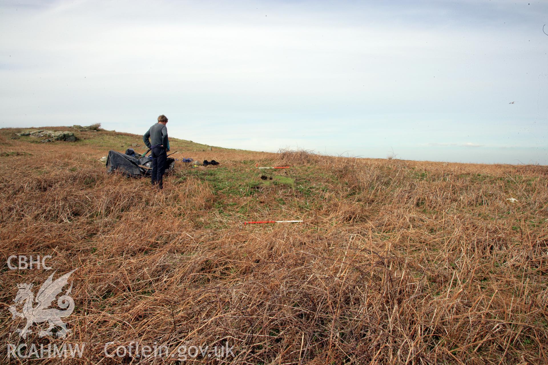 Skomer Island excavation of a burnt stone  mound, Hut Group 8. General pre-excavation view from the south-west following clearance of bracken