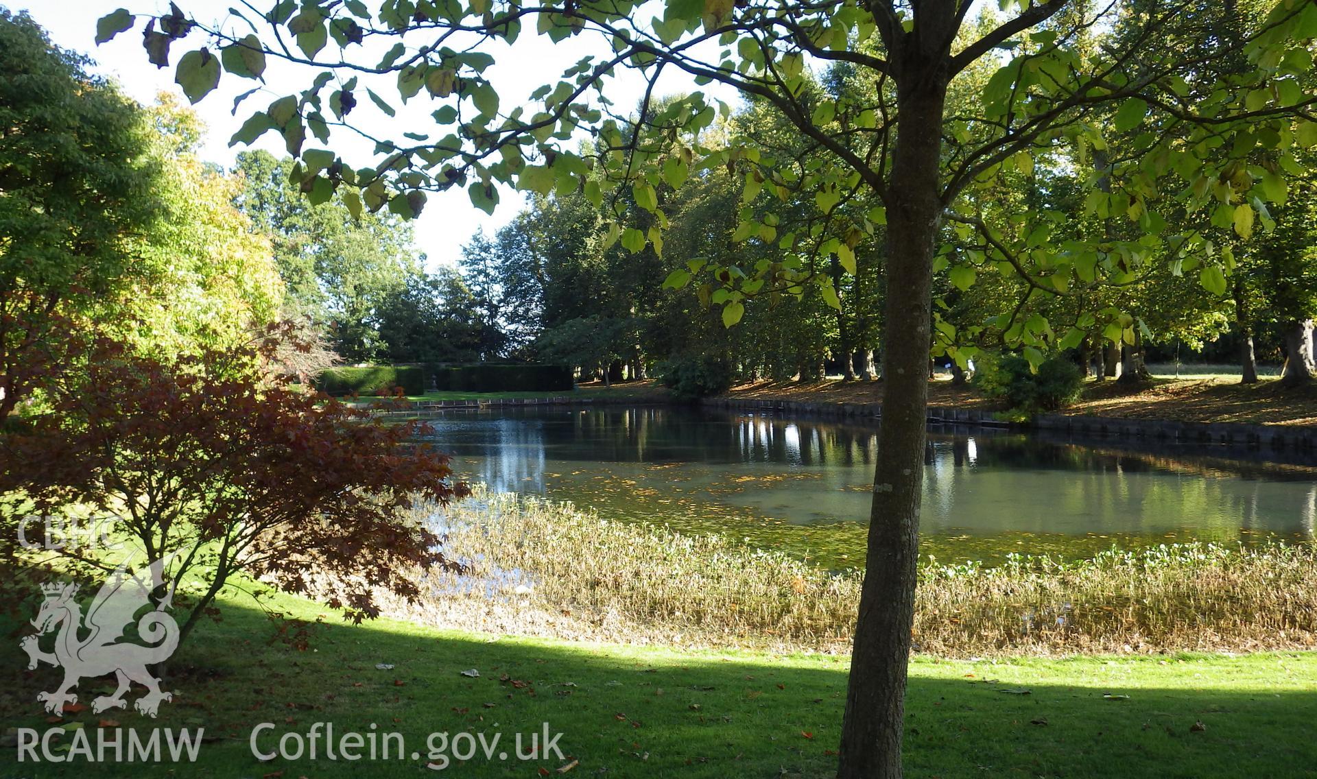 Sub-rectangualr pond in the northeastern compartment of the garden