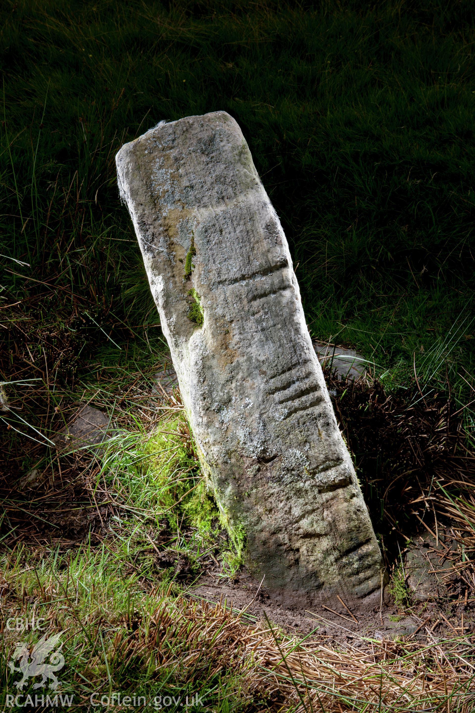 View from the west, dark ground