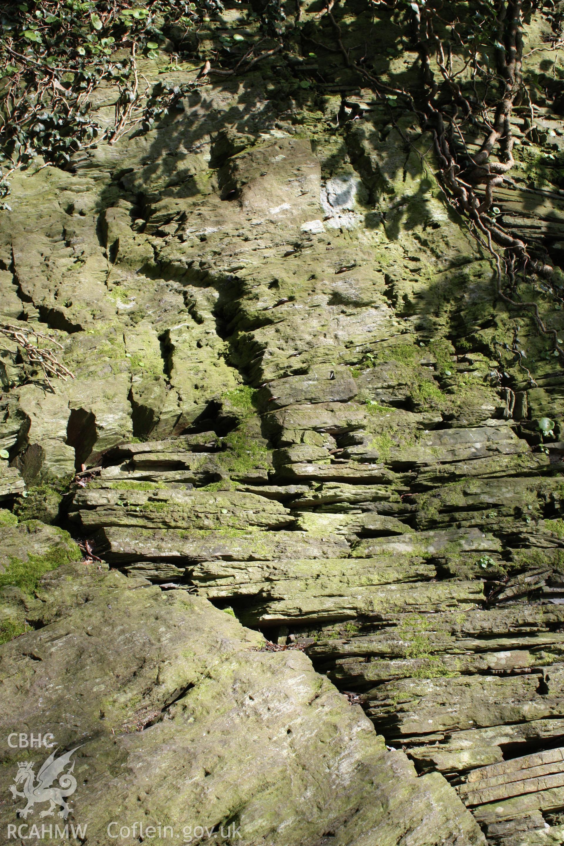 Rock Cross, Nevern. Detail of cross.