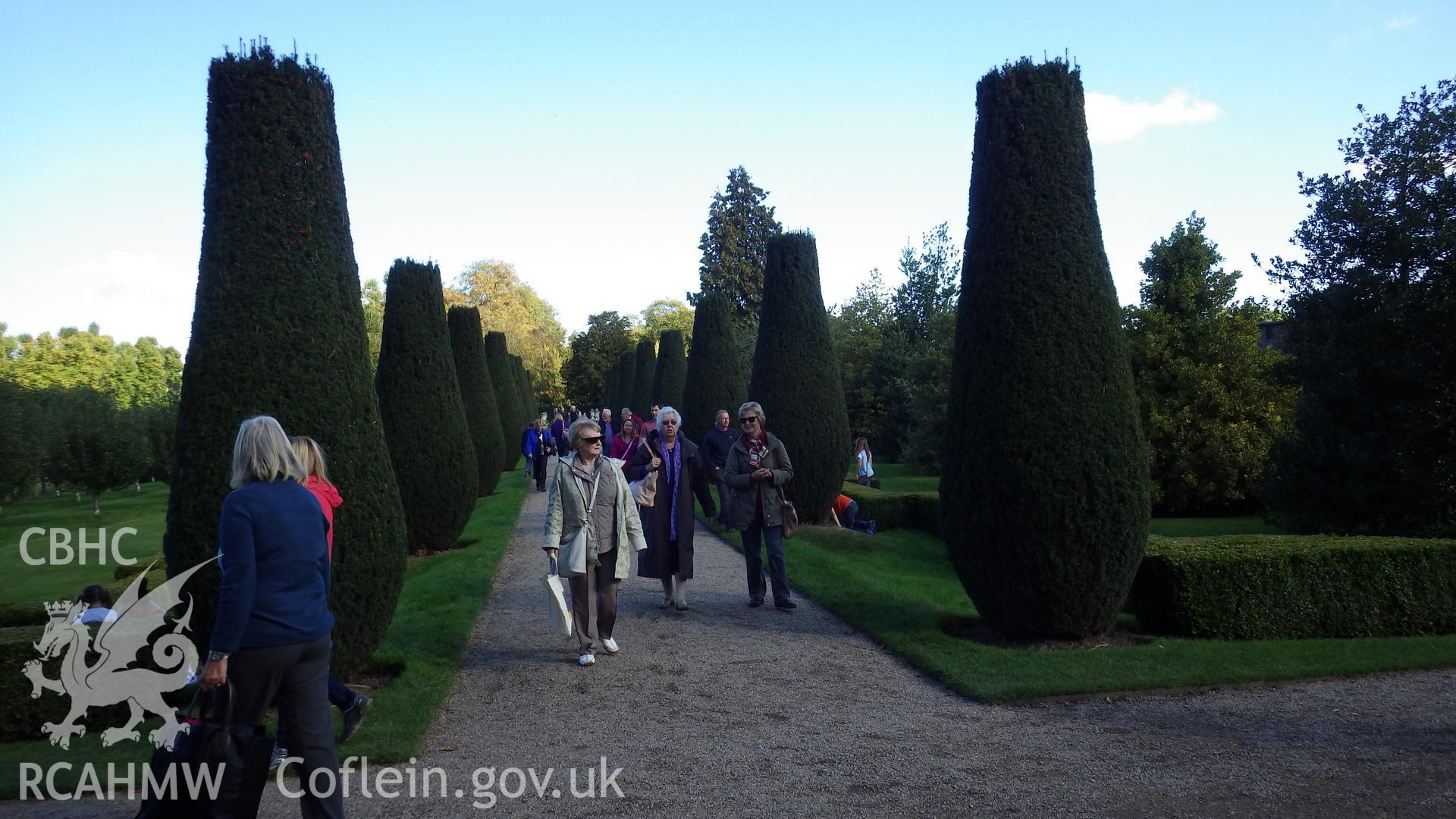 Western end of the walk lined with Irish yews and dwarf box hedges on the southern axis of the garden