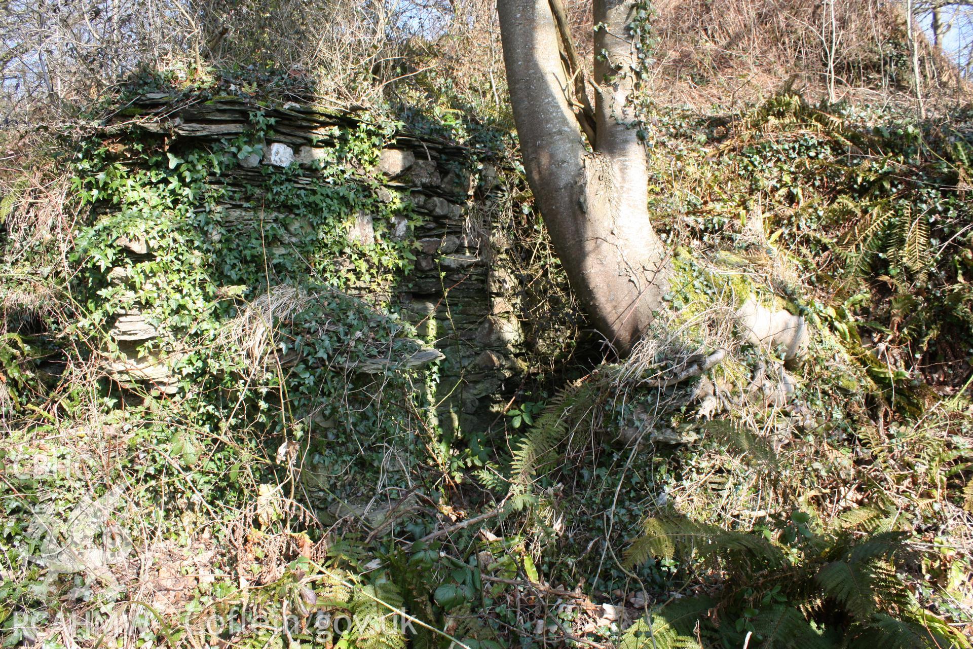 Nevern Castle and Pwll y Broga cottage, May 2010. View of store attached to the south-east corner of the cottage.