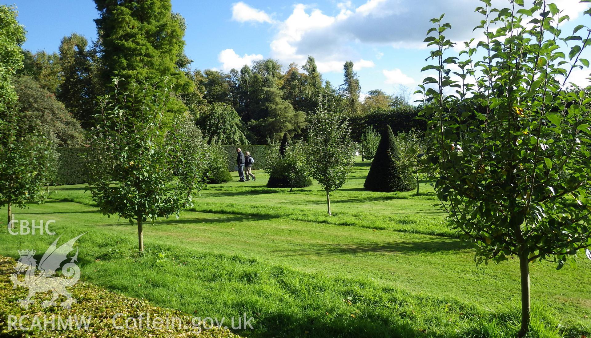 Plantings of fruit trees and yews in the northeastern compartment of the garden