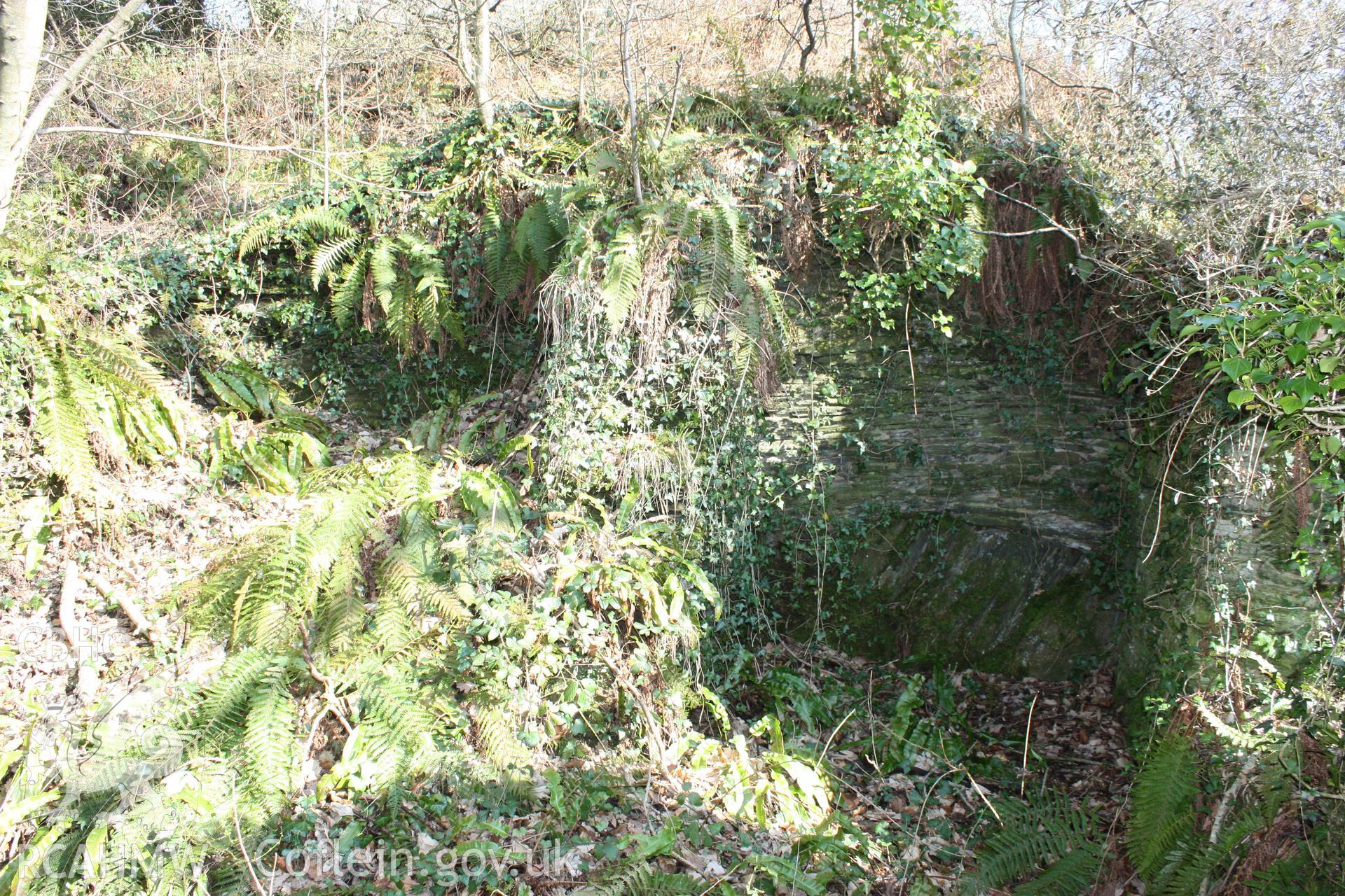 Nevern Castle and Pwll y Broga cottage, May 2010. Internal east gable end and partitin wall of the cottage.