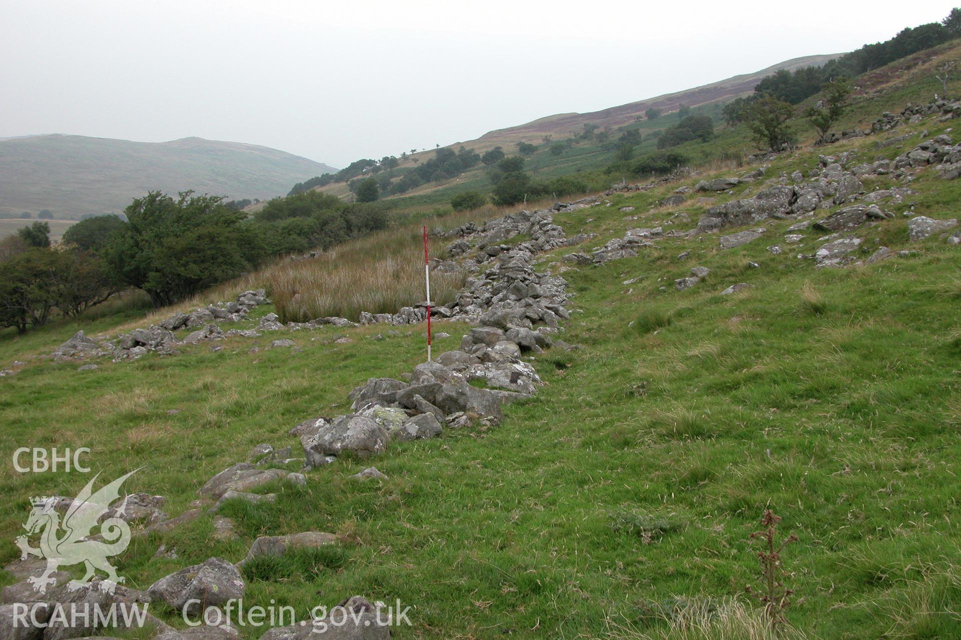 Digital photograph of Moel Eilio Hut Circle VI taken on 09/09/2003 by Cambrian Archaeological Projects during the Eastern Snowdonia Upland Survey