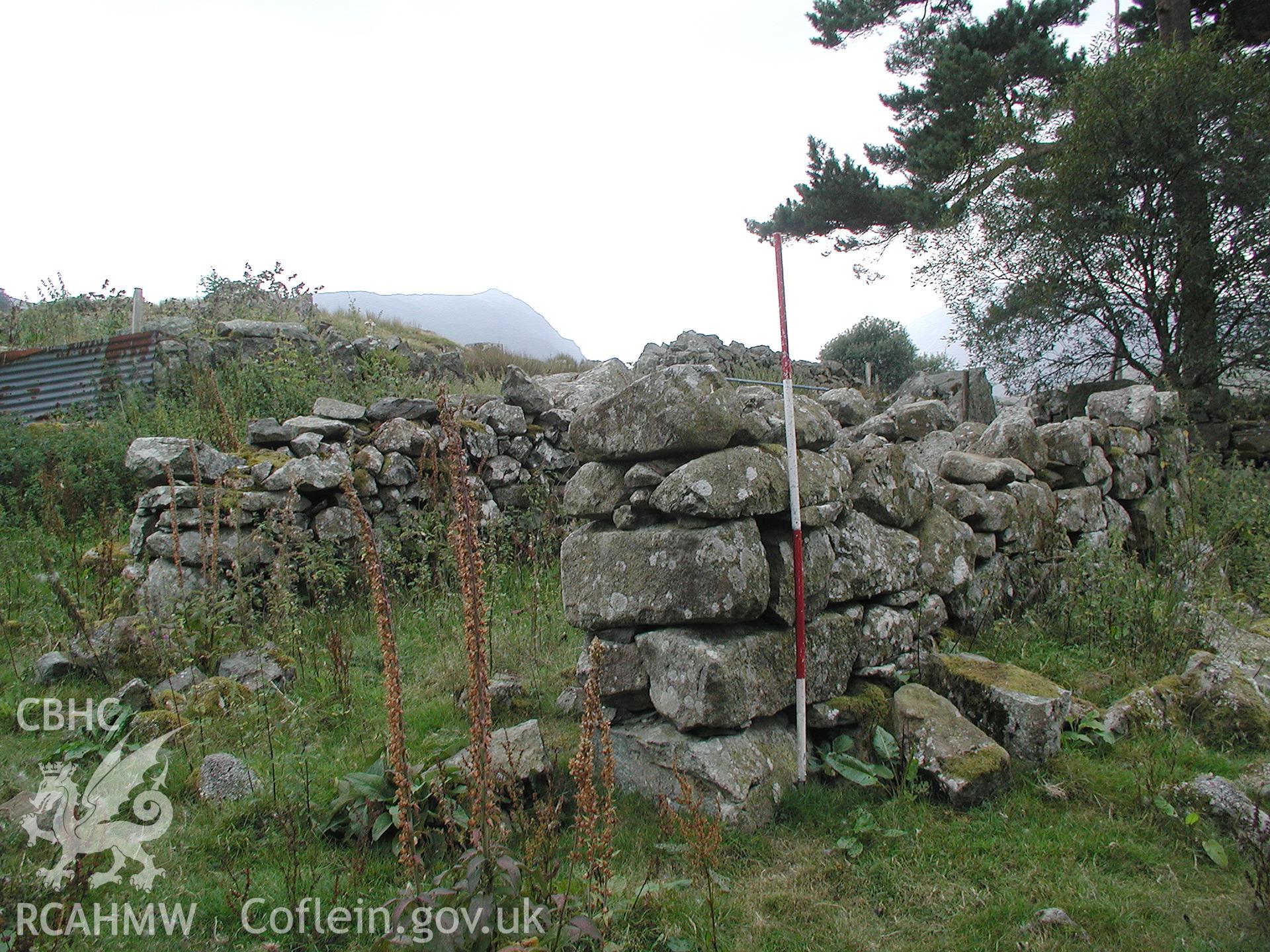 Digital photograph of Brwynog Uchaf Farmstead taken on 09/09/2003 by Cambrian Archaeological Projects during the Eastern Snowdonia Upland Survey