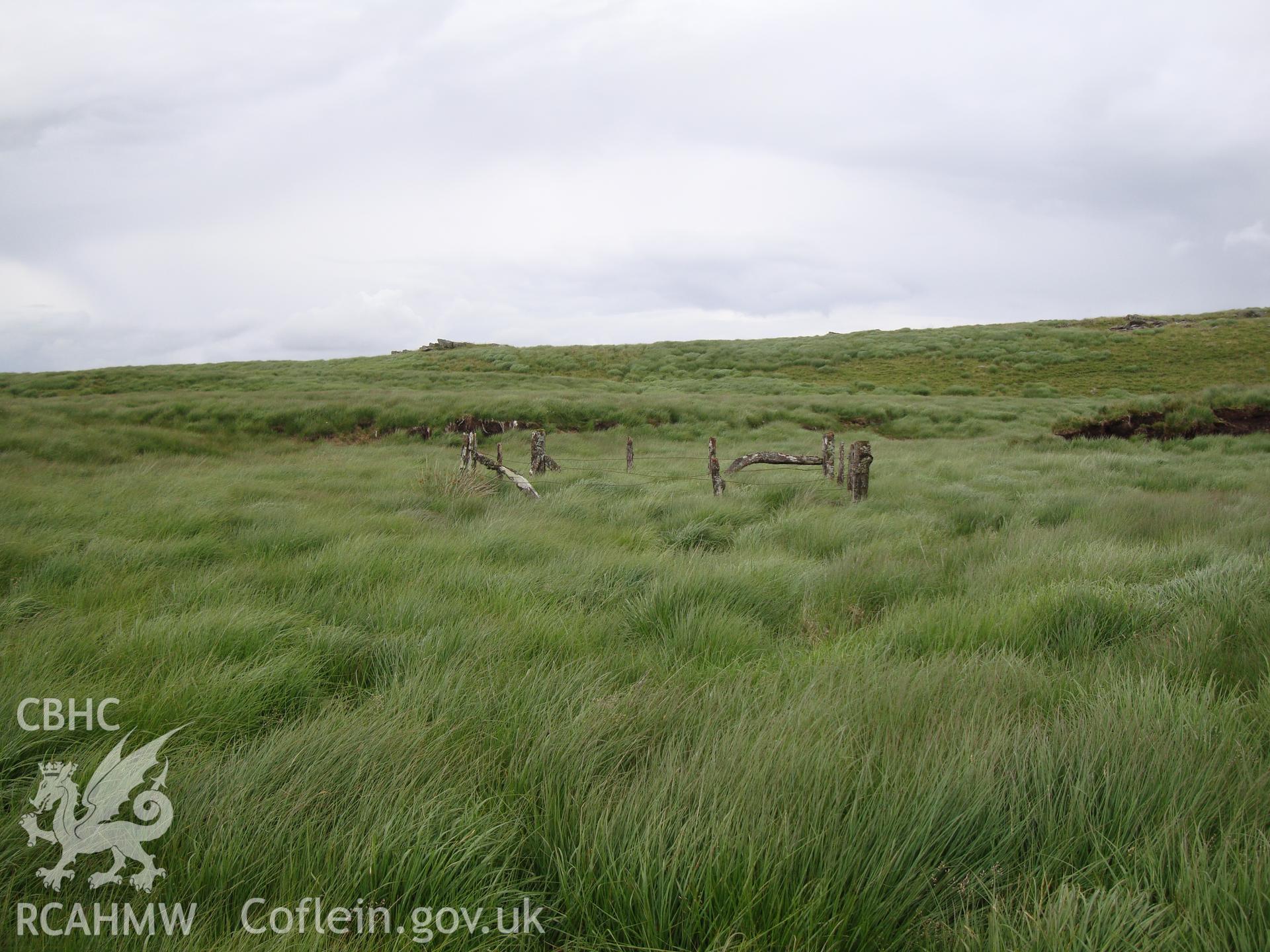 Rain gauge enclosure, looking northwest.