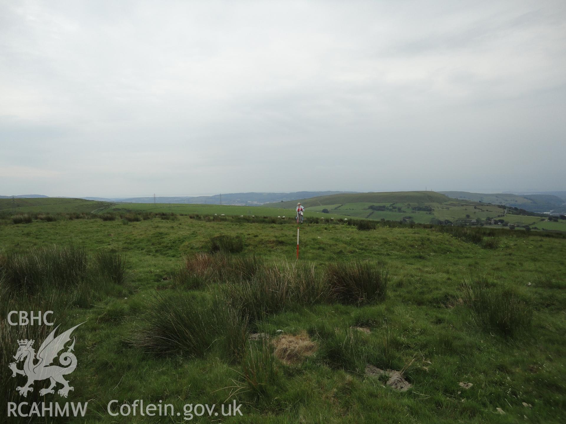 Possible ring barrow, looking southeast.