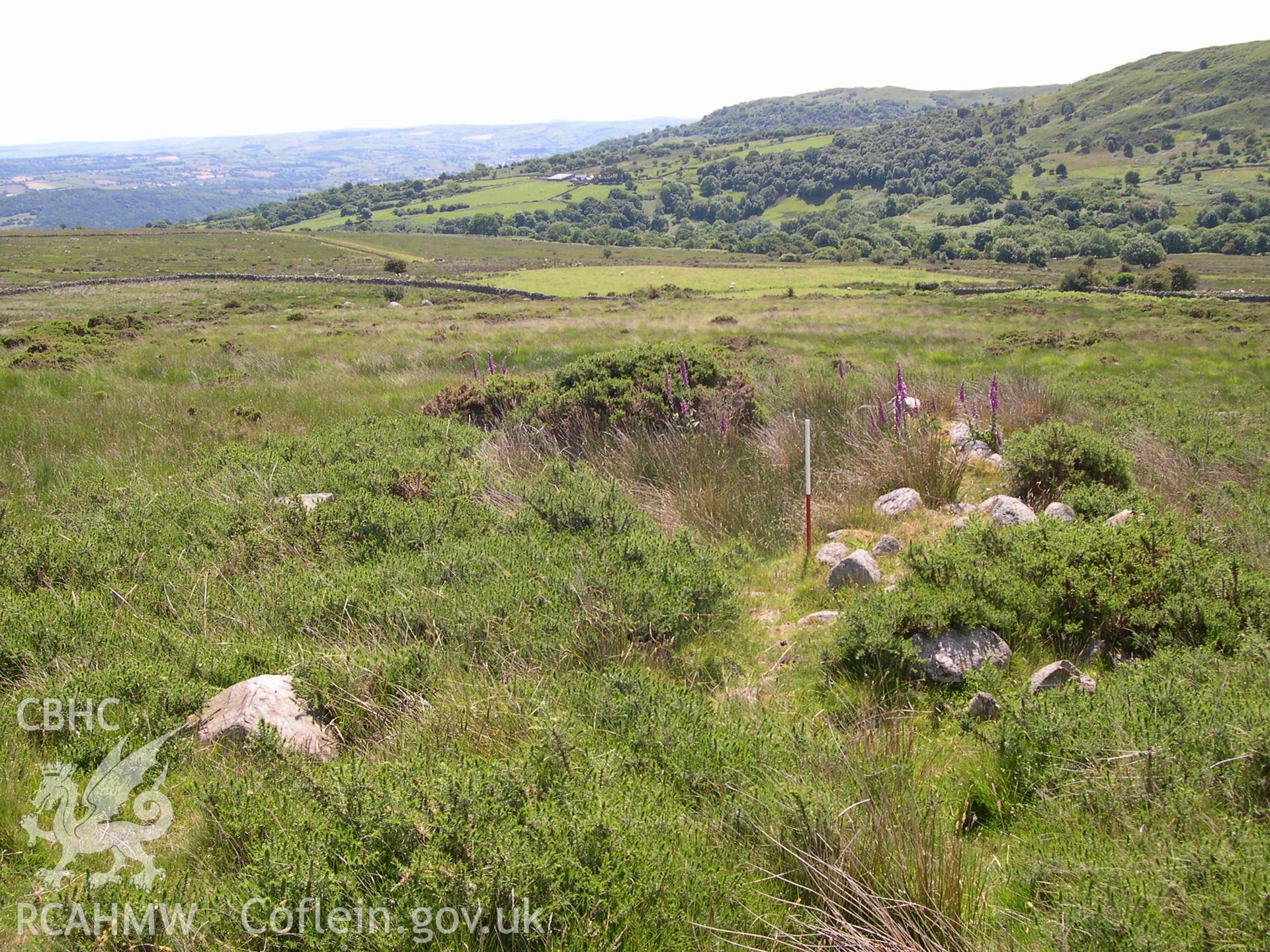 Digital photograph of Bwlch-y-gaer Longhouse I from the South. Taken on 21/06/04 by A. Lane during the Eastern Snowdonia (Central) Upland Survey.