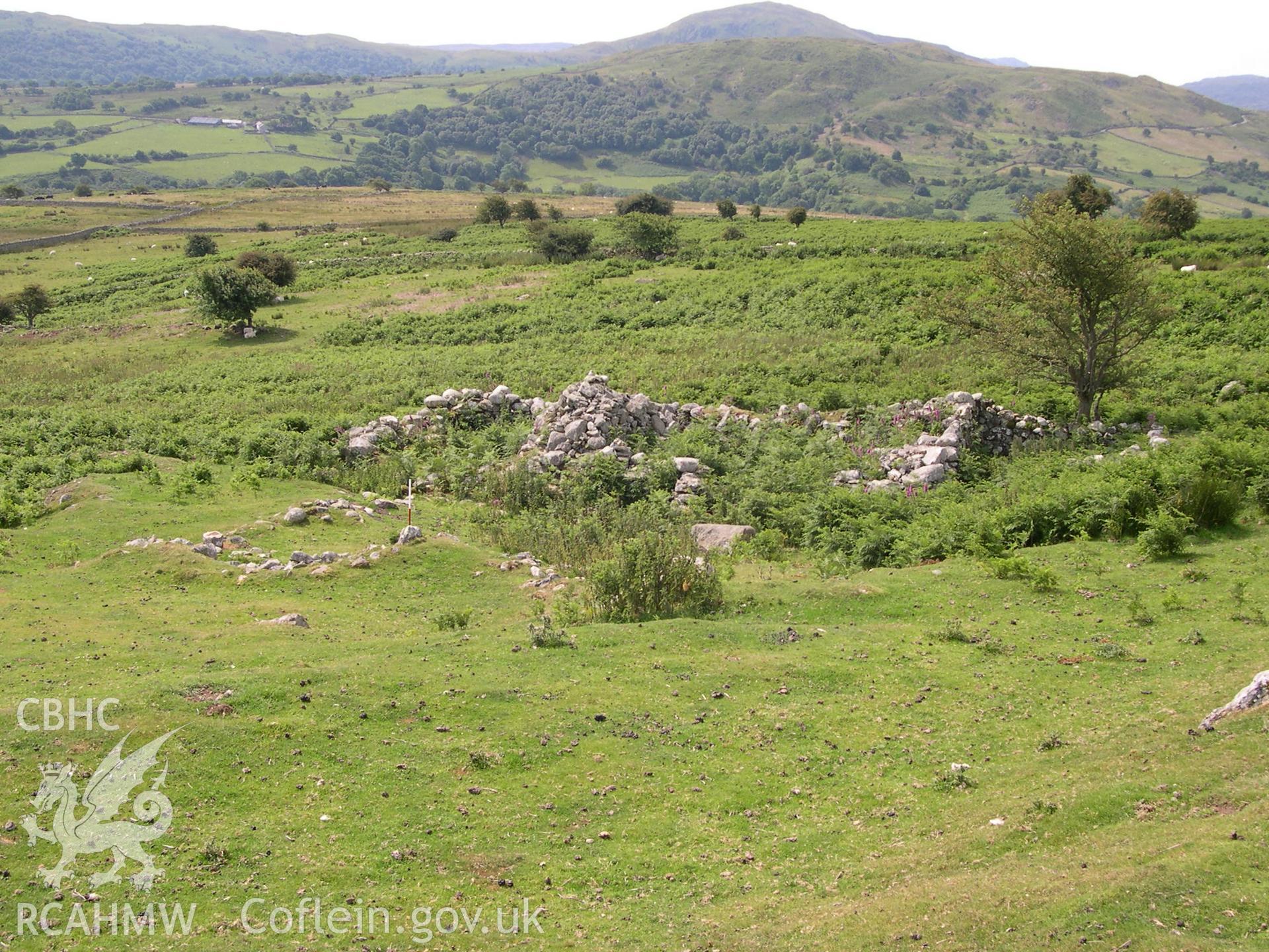 Digital photograph of Tyddyn-eithinog Deserted Rural Settlement from the South. Taken on 01/07/04 by A. Lane during the Eastern Snowdonia (Central) Upland Survey.