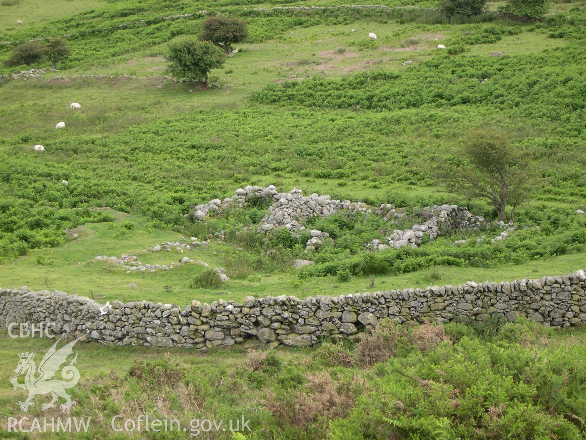 Digital photograph of Tyddyn-eithinog Deserted Rural Settlement from the South. Taken on 01/07/04 by A. Lane during the Eastern Snowdonia (Central) Upland Survey.