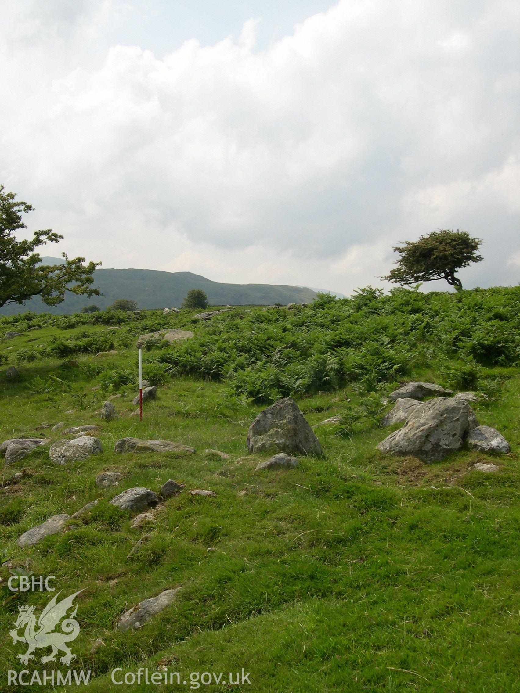 Digital photograph of Pen-y-gaer (SE) Long Hut Settlement from the South. Taken on 01/07/04 by A. Lane during the Eastern Snowdonia (Central) Upland Survey.