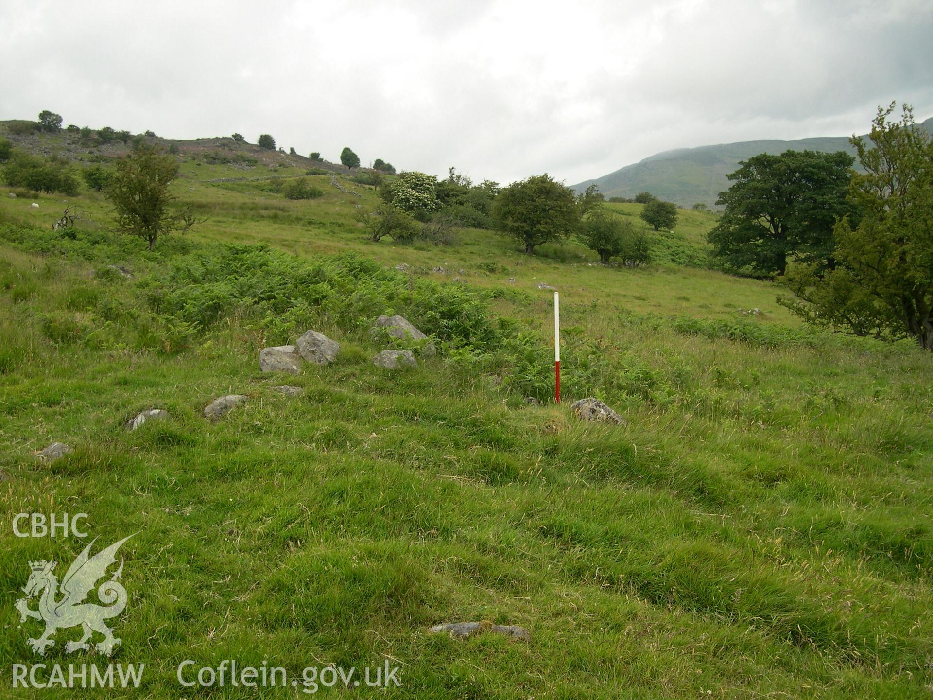 Digital photograph of Pen-y-gaer (N) Field System from the North. Taken on 01/07/04 by A. Lane during the Eastern Snowdonia (Central) Upland Survey.