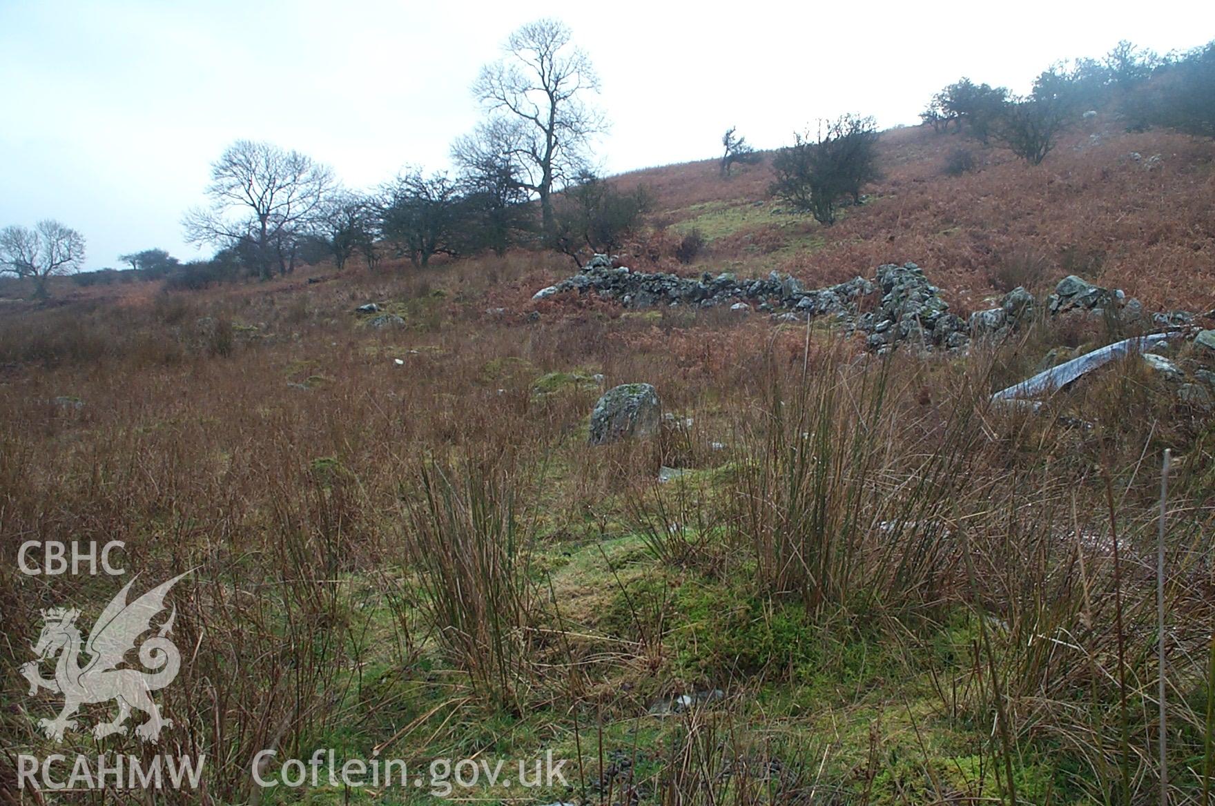 Digital photograph of Pont-y-teiryd Field System from the South-east. Taken by P. Schofield on 30/03/2004 during the Eastern Snowdonia (North) Upland Survey.