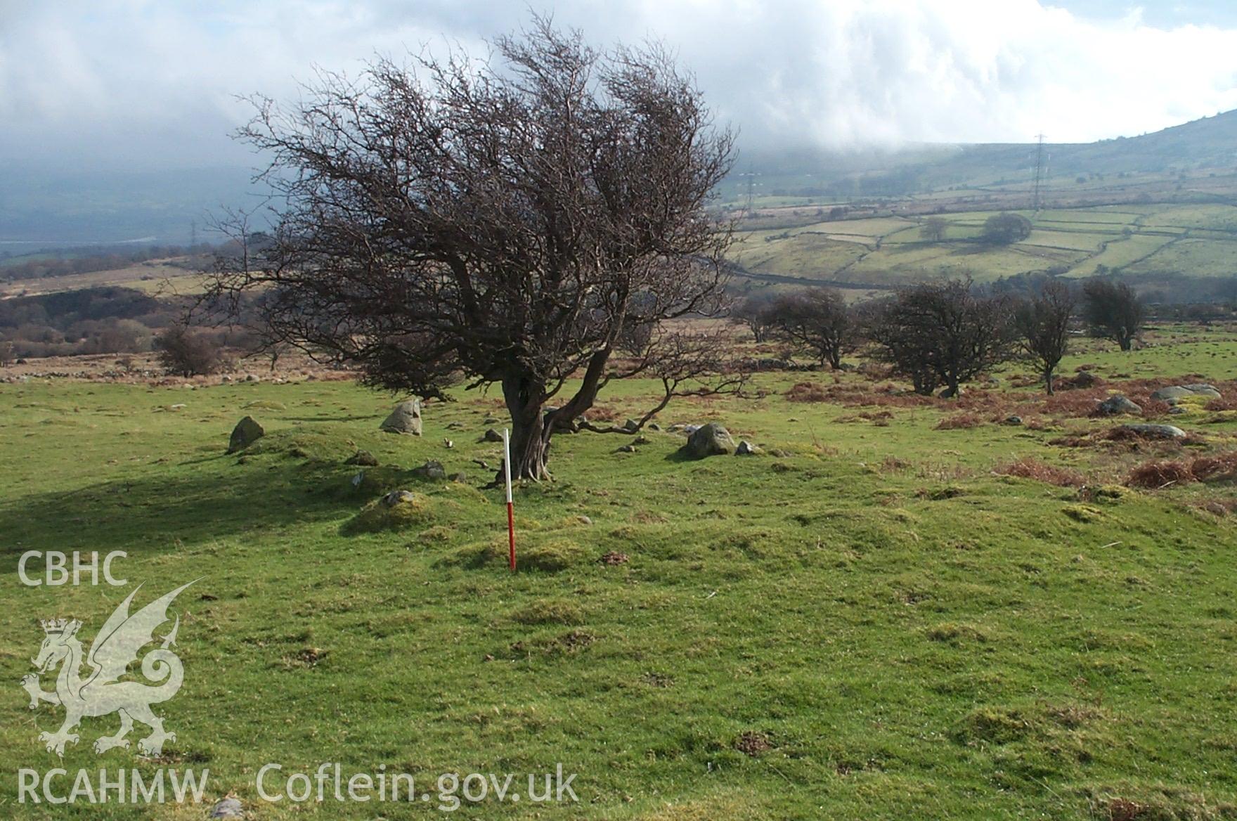 Digital photograph of Pen-y-fridd from the South. Taken by P. Schofield on 30/03/2004 during the Eastern Snowdonia (North) Upland Survey.