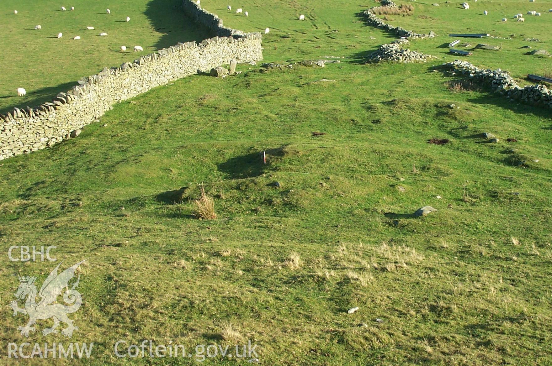 Digital photograph of a platform house below Dinas from the East. Taken by P. Schofield on 30/03/2004 during the Eastern Snowdonia (North) Upland Survey.