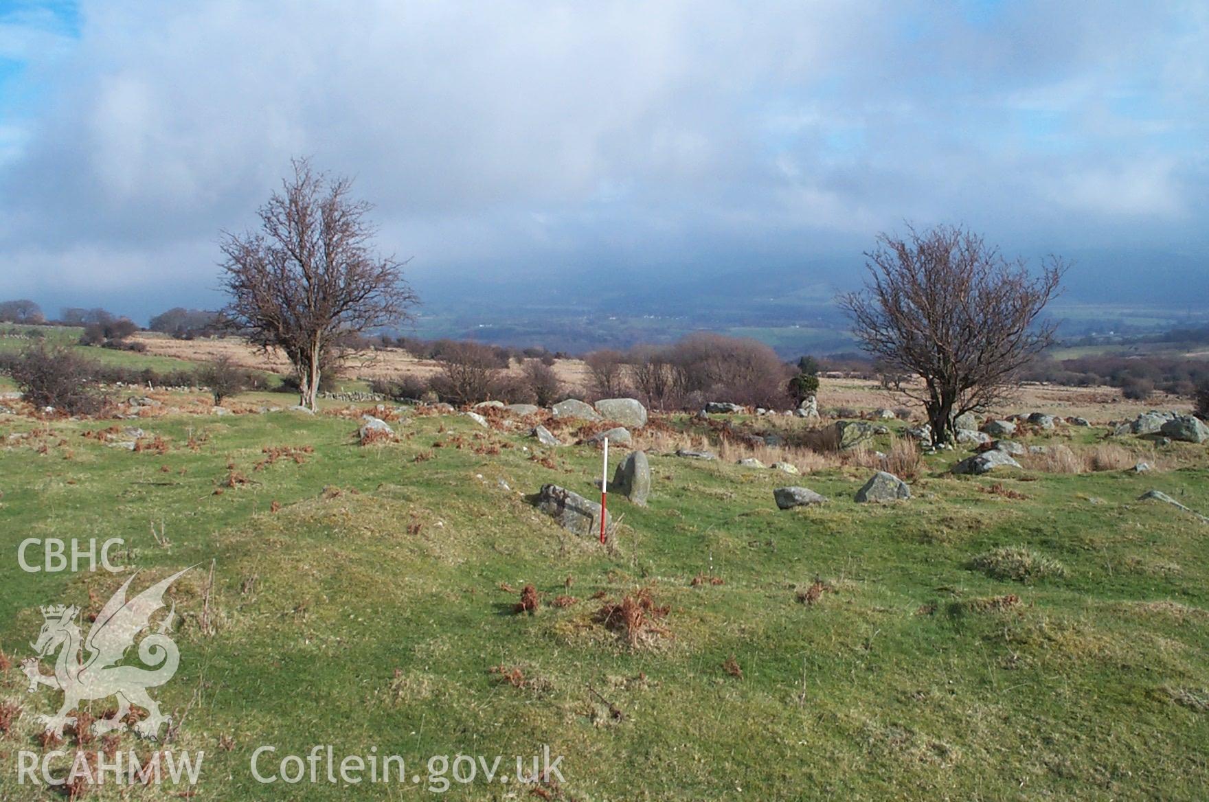 Digital photograph of the settlement near Maen-y-bardd from the South-east. Taken by P. Schofield on 30/03/2004 during the Eastern Snowdonia (North) Upland Survey.