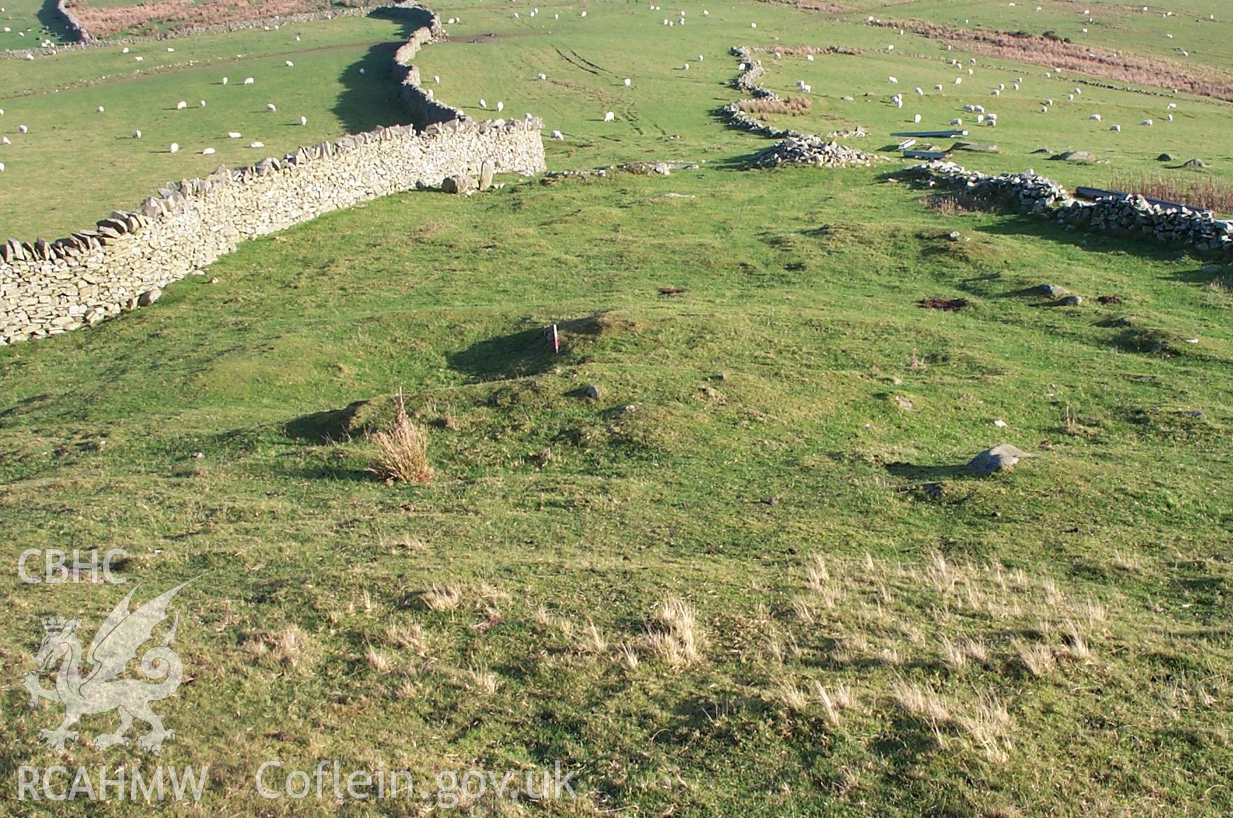 Digital photograph of a platform house below Dinas from the East. Taken by P. Schofield on 30/03/2004 during the Eastern Snowdonia (North) Upland Survey.