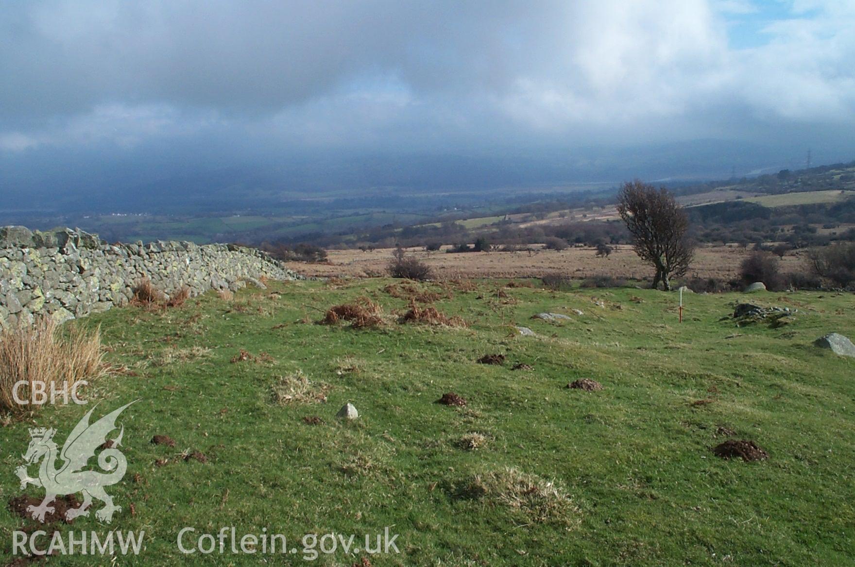 Digital photograph of Homestead Nr Maen-y-bardd from the East. Taken by P. Schofield on 30/03/2004 during the Eastern Snowdonia (North) Upland Survey.