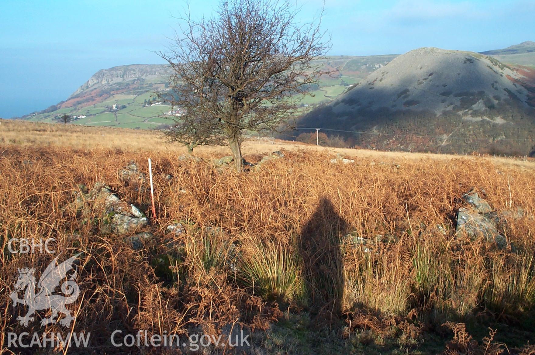 Digital photograph of Camarnaint Hut Platform from the North-east. Taken by P. Schofield on 30/03/2004 during the Eastern Snowdonia (North) Upland Survey.