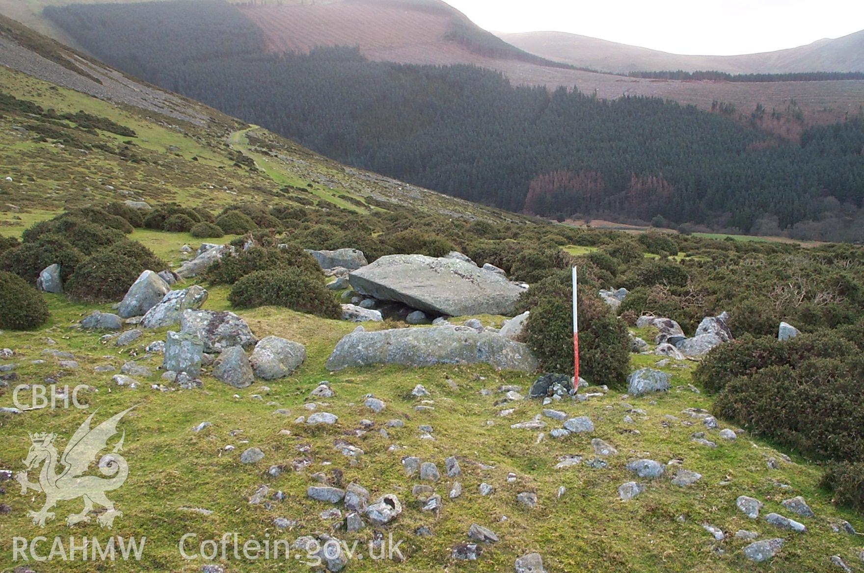 Digital photograph of Carnedd Y Saeson cairnfield from the West. Taken by P. Schofield on 30/03/2004 during the Eastern Snowdonia (North) Upland Survey.