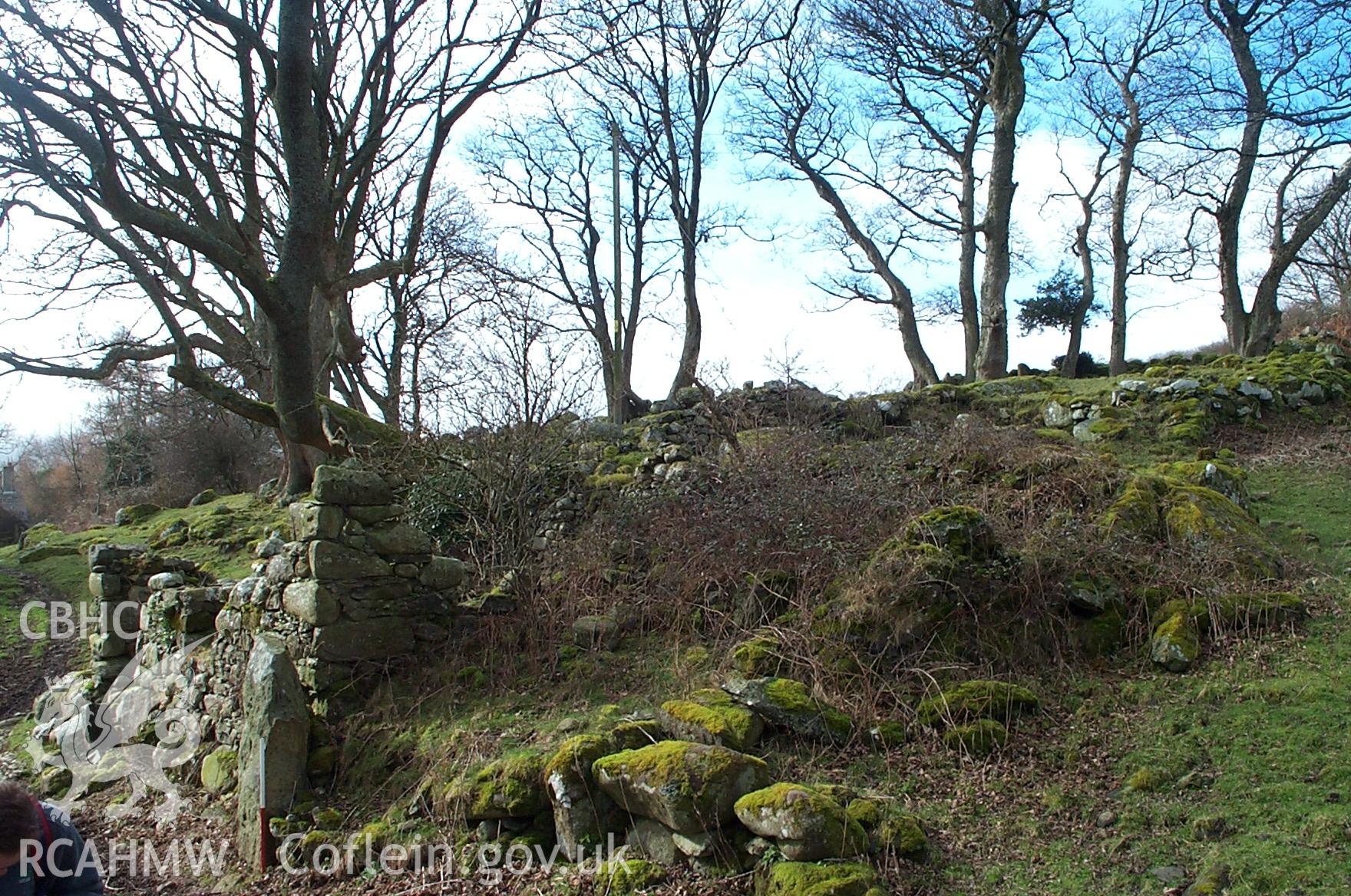 Digital photograph of Maen-y-bardd from the West. Taken by P. Schofield on 30/03/2004 during the Eastern Snowdonia (North) Upland Survey.