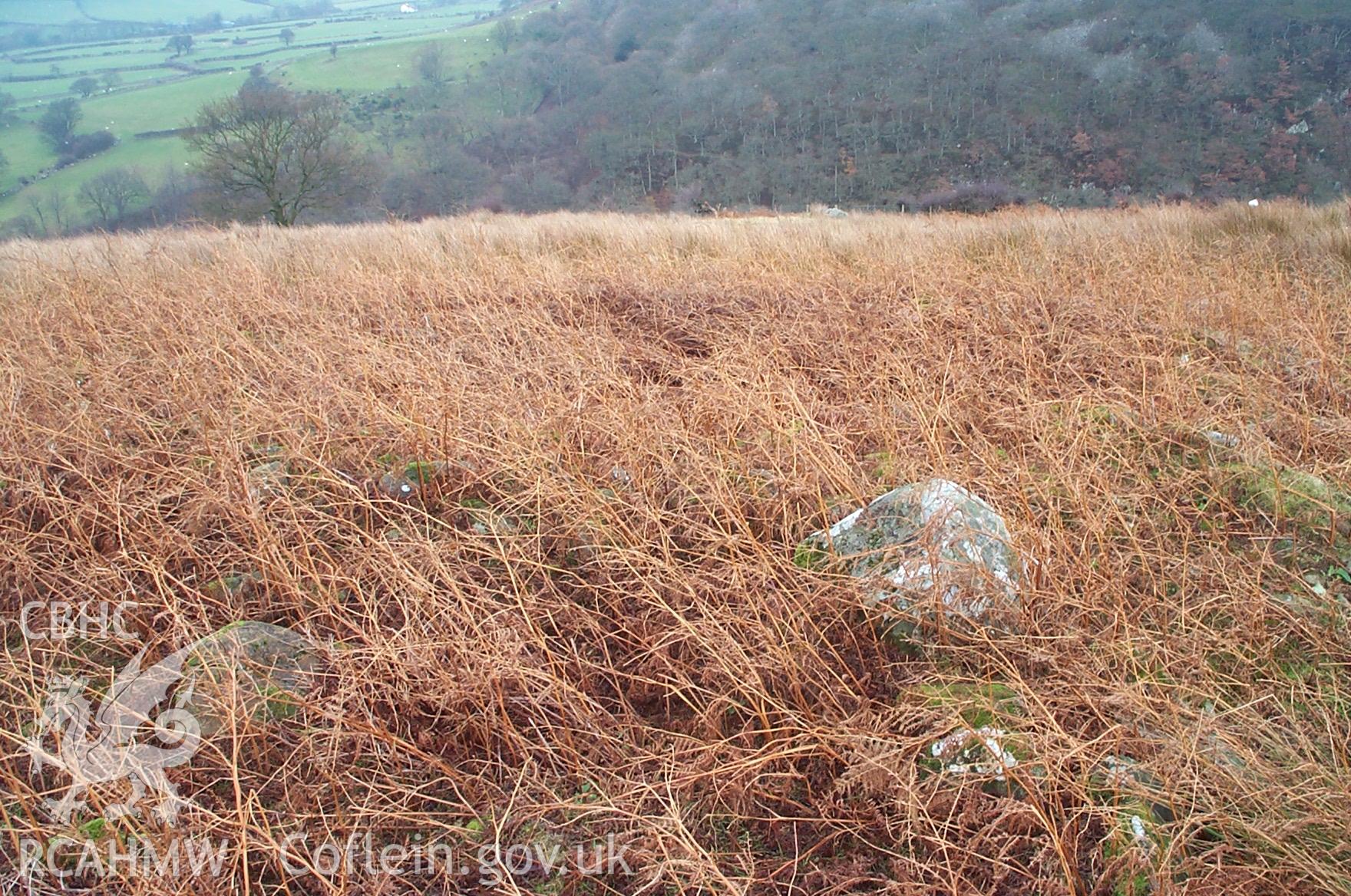 Digital photograph of Pont-y-teiryd Settlement Features from the North. Taken by P. Schofield on 05/09/2003 during the Eastern Snowdonia (North) Upland Survey.