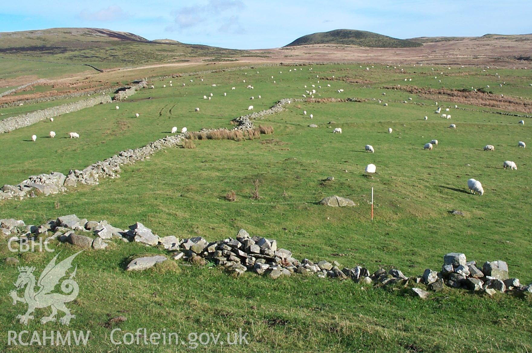 Digital photograph of Hut Circles Near Dinas Hillfort from the East. Taken by P. Schofield on 30/03/2004 during the Eastern Snowdonia (North) Upland Survey.