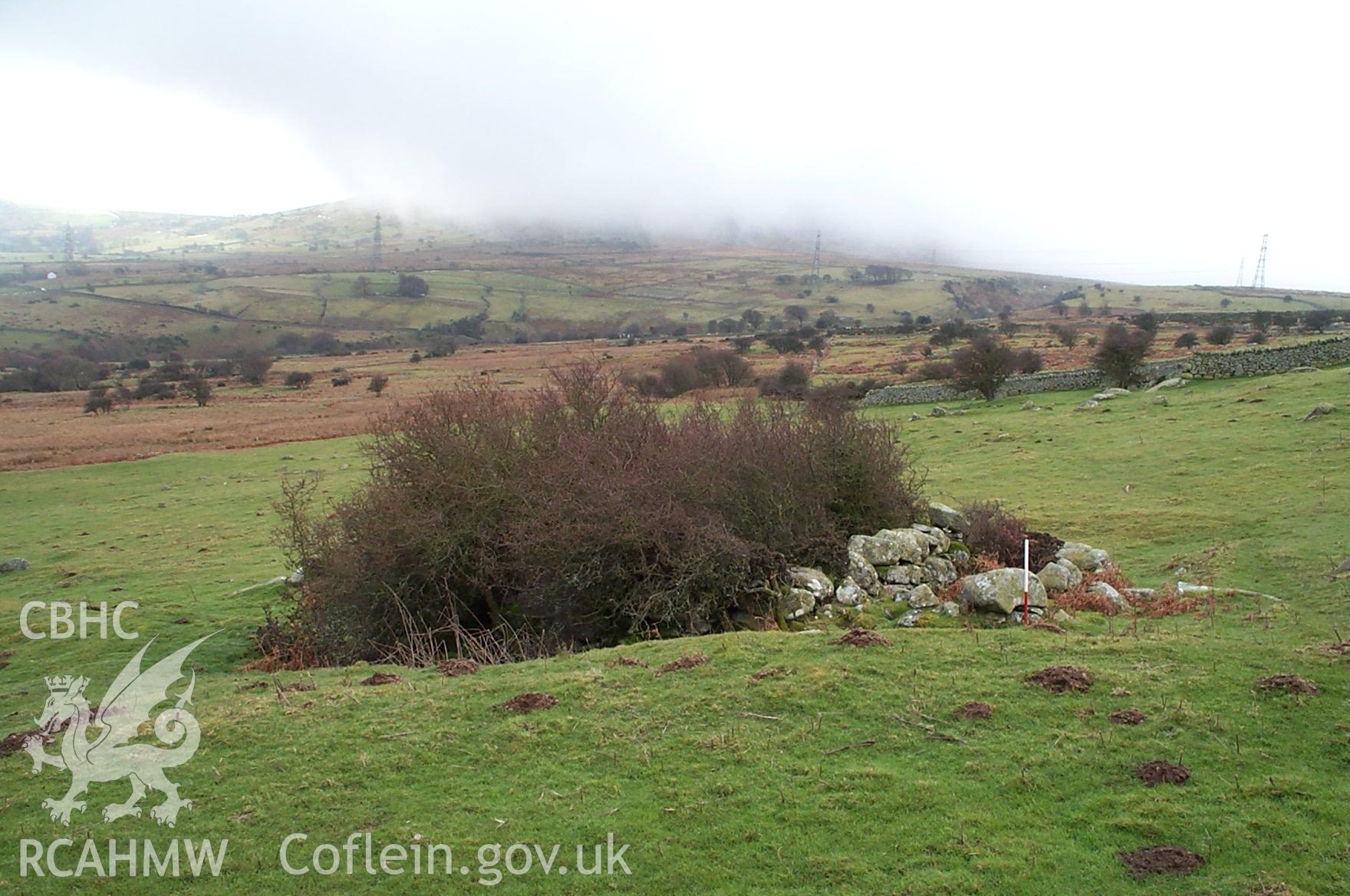 Digital photograph of Homestead Tyddyn-du from the South. Taken by P. Schofield on 30/03/2004 during the Eastern Snowdonia (North) Upland Survey.